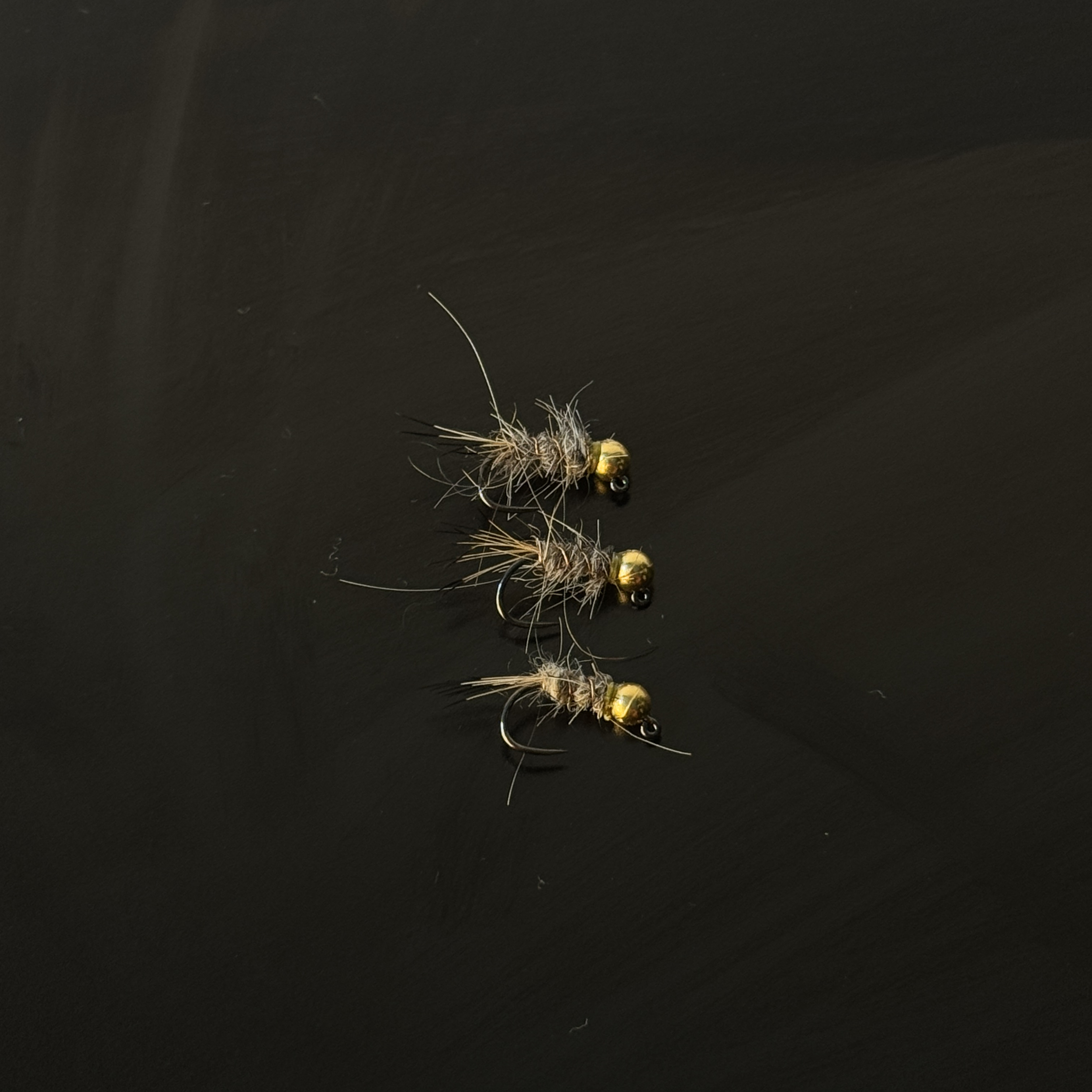 IMG_9698_1to1.png