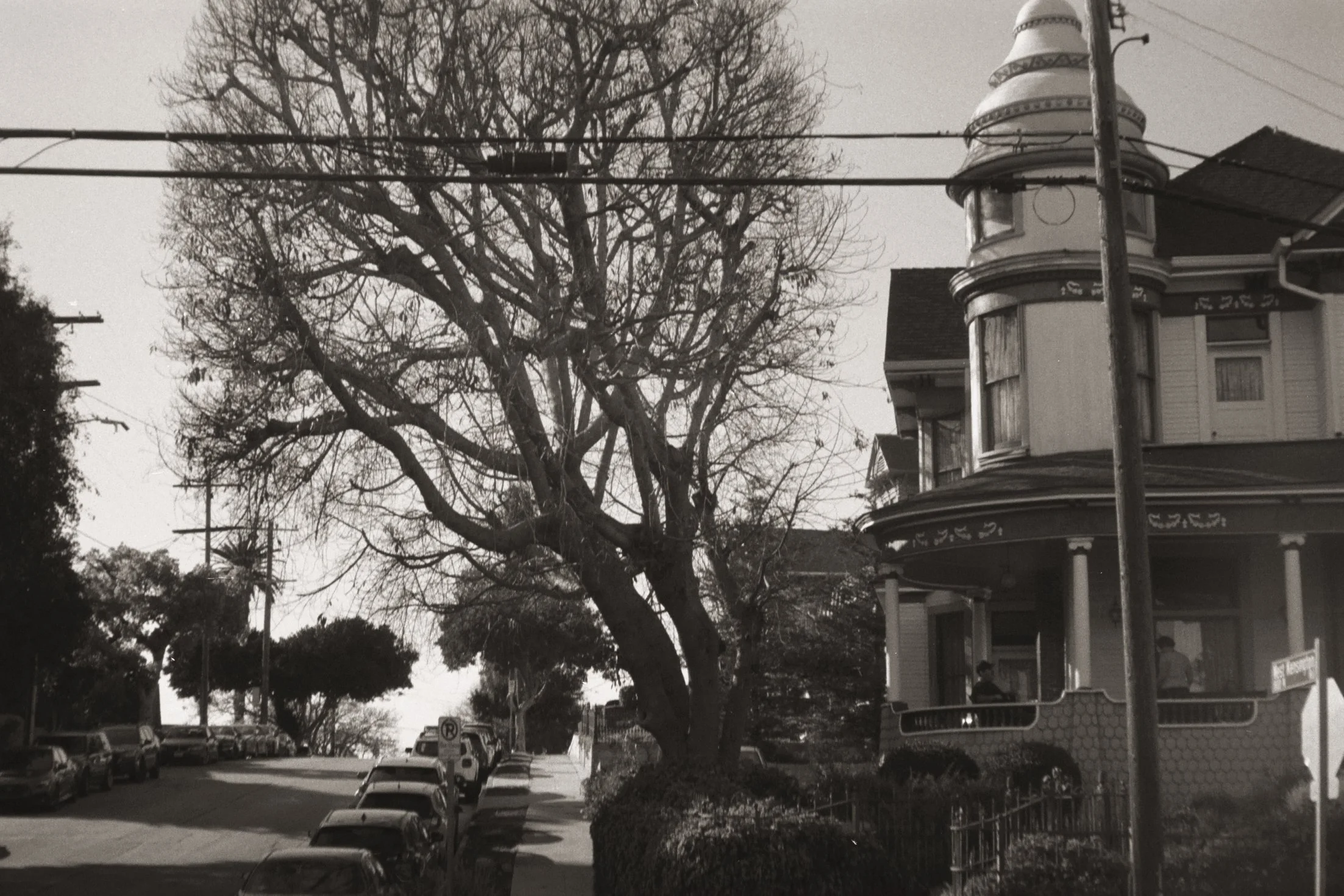 Black and white photo of a street scene with parked cars on both sides, a large leafless tree, power lines, a corner building with a turret, and a neighborhood background.