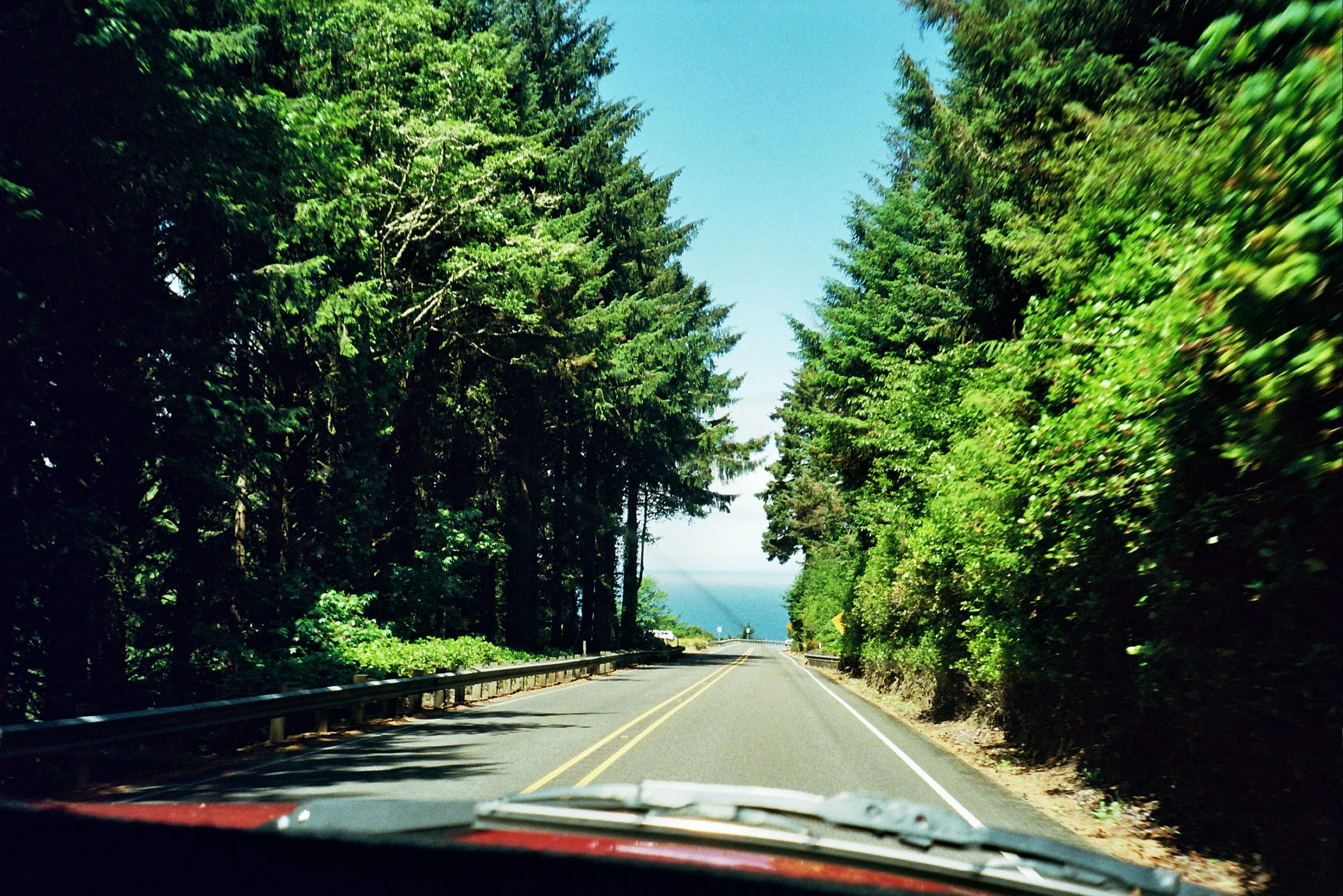 A scenic view through a forested mountain road with tall green trees lining both sides of the road and a clear blue sky overhead.
