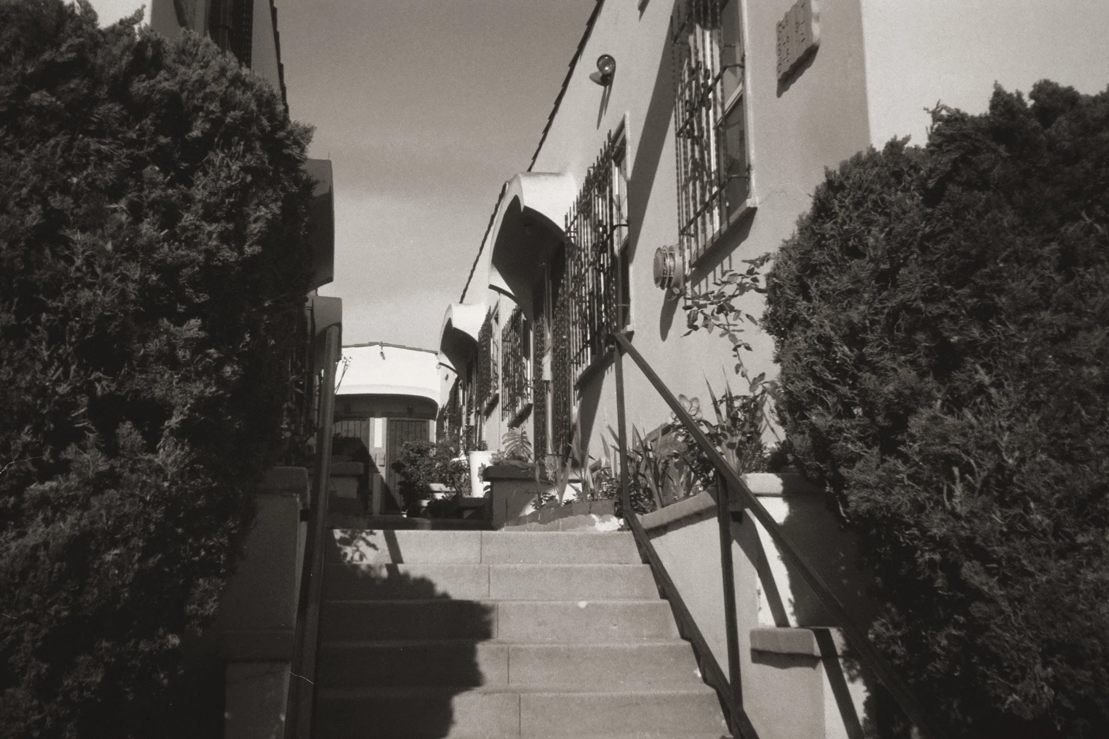 A set of outdoor stairs leading up to a building entrance, flanked by bushes and trees on either side, with shadows cast on the steps.