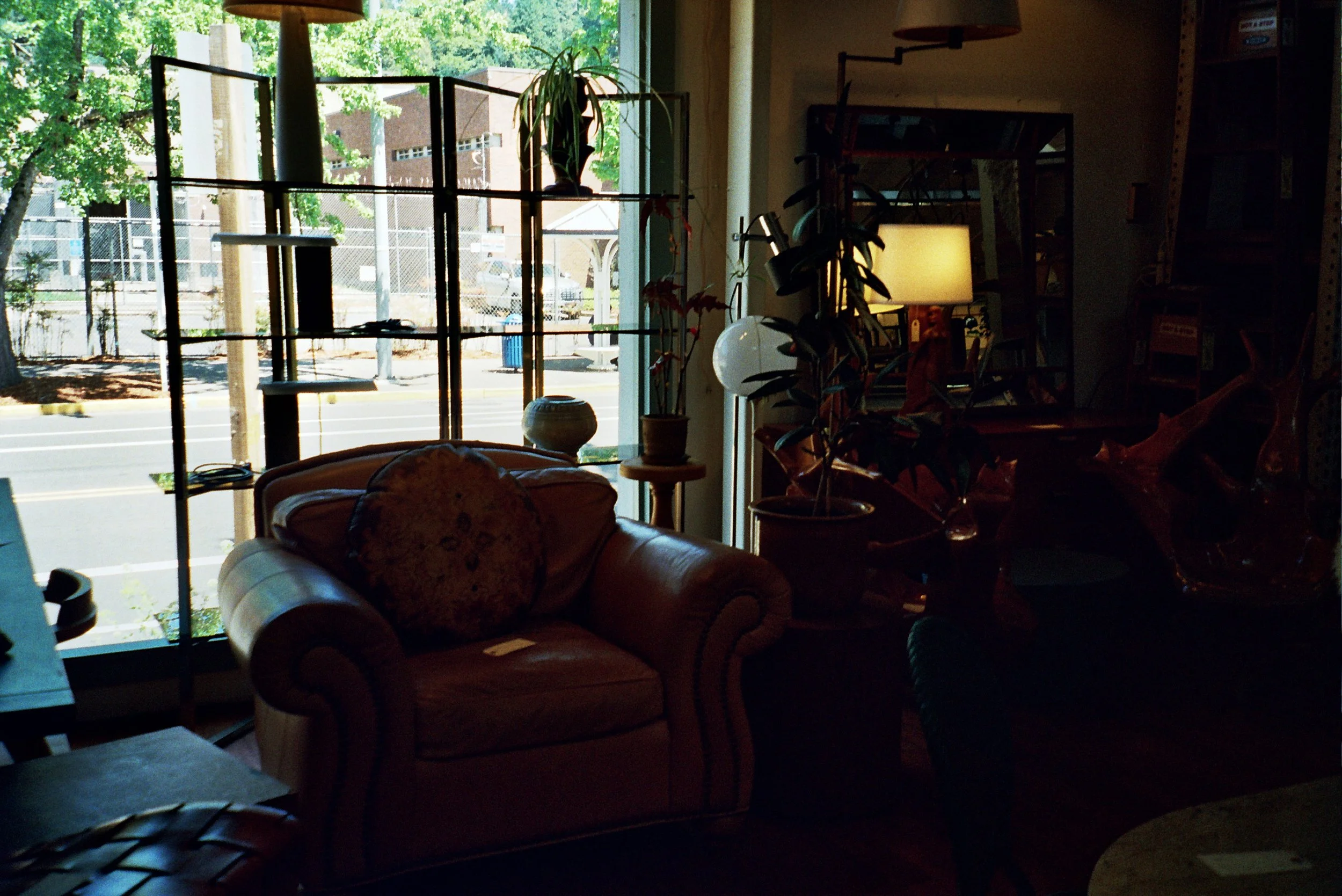 Interior view of a cozy cafe or shop with dim lighting, showing a leather armchair, tall plants, shelving units, a lamp, and large windows with sunlight streaming outside.