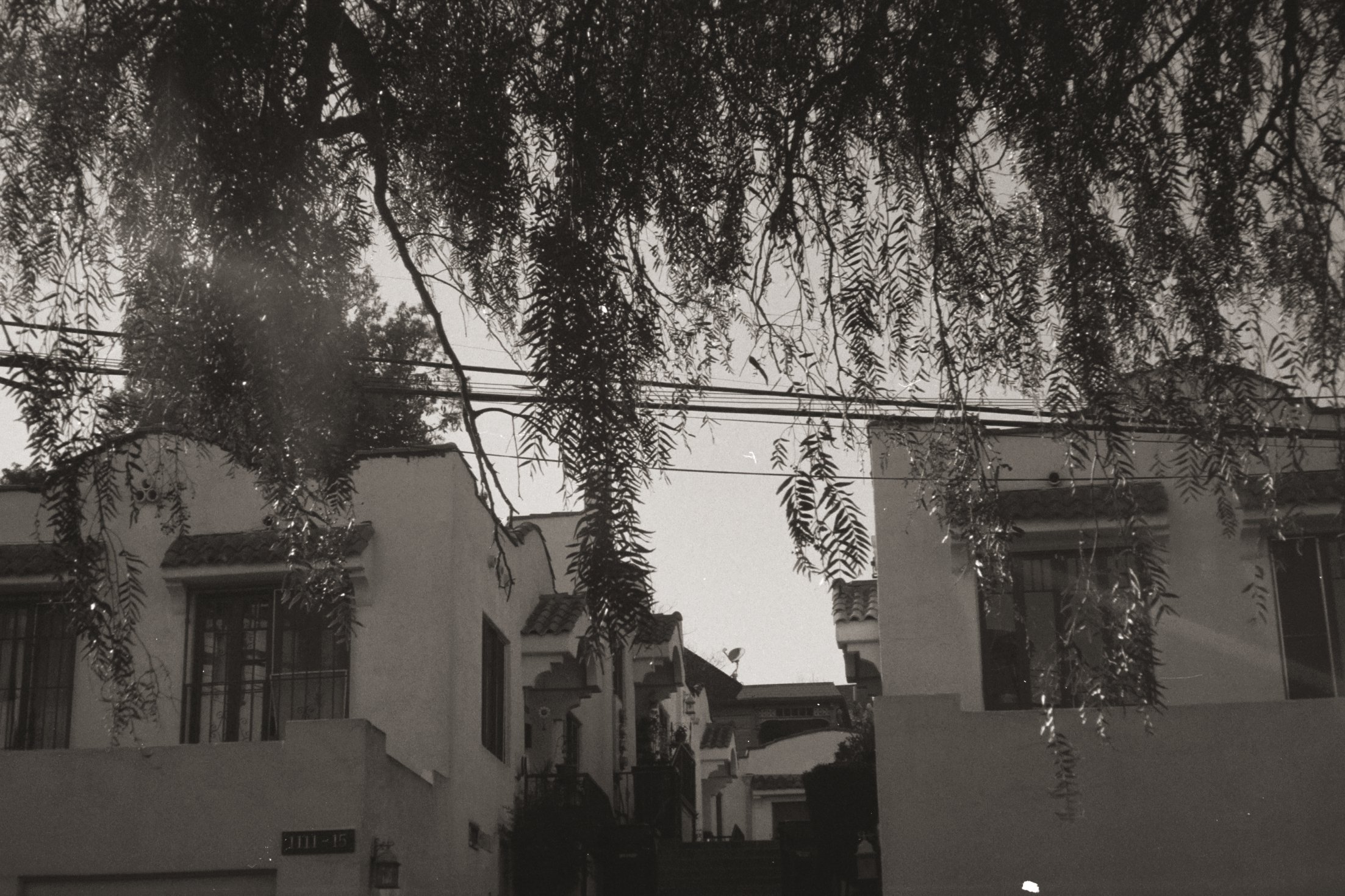 Black and white photo of a residential street with trees, electrical wires, and houses with tiled roofs.