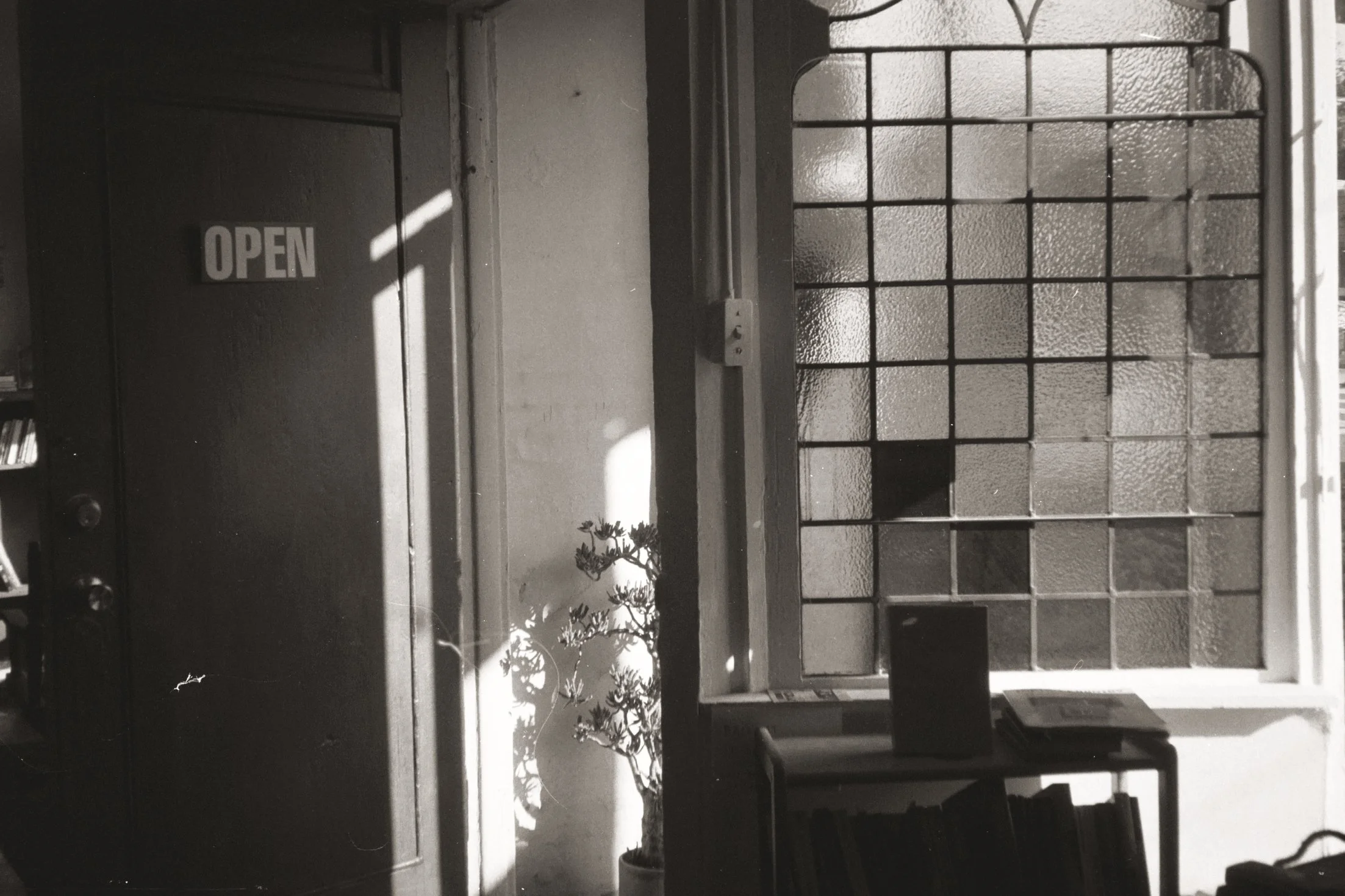 A window with textured frosted glass and a grid pattern, with sunlight casting shadows inside. There is a small plant on the windowsill and an 'OPEN' sign on a door nearby.