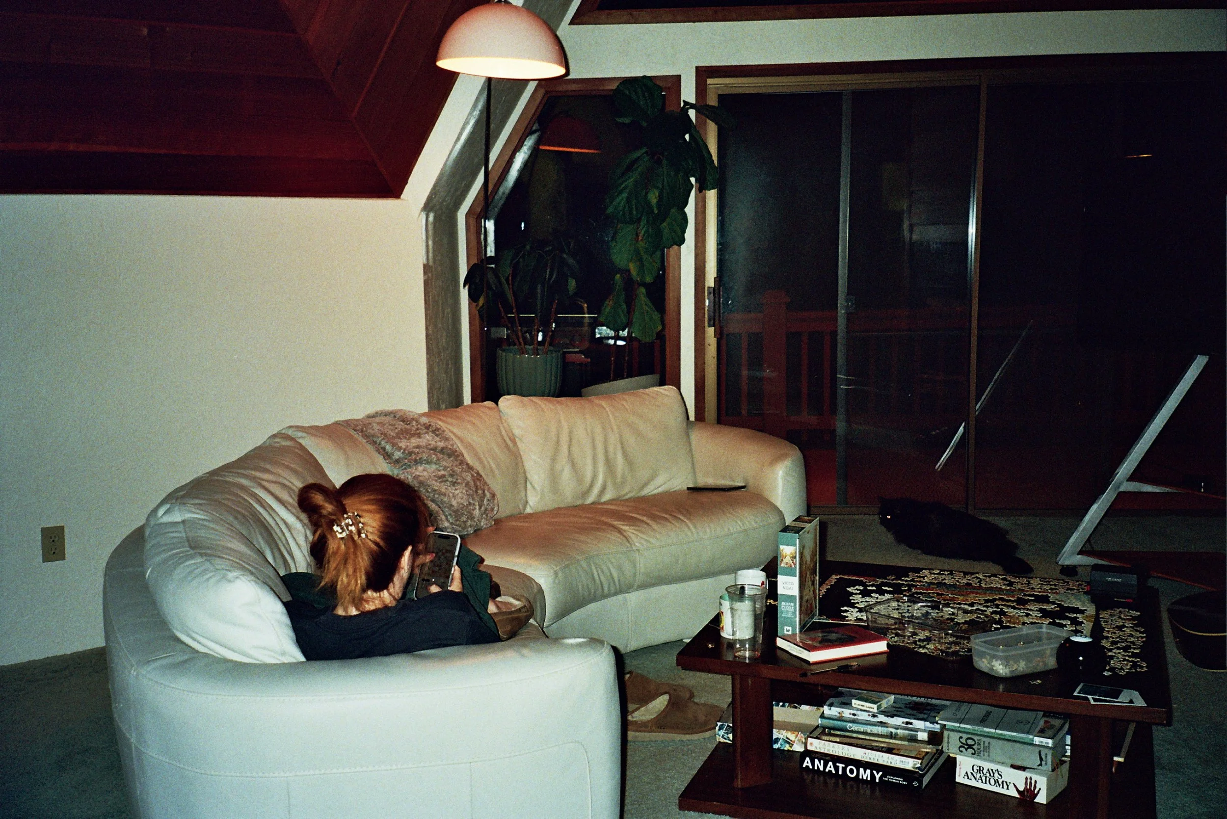 A living room scene at night featuring a beige leather sofa with a woman sitting on it, using her phone. There is a bookshelf filled with books including titles like 'Anatomy' and 'Gray's Anatomy.' A large window with sliding doors leads to an outdoo
