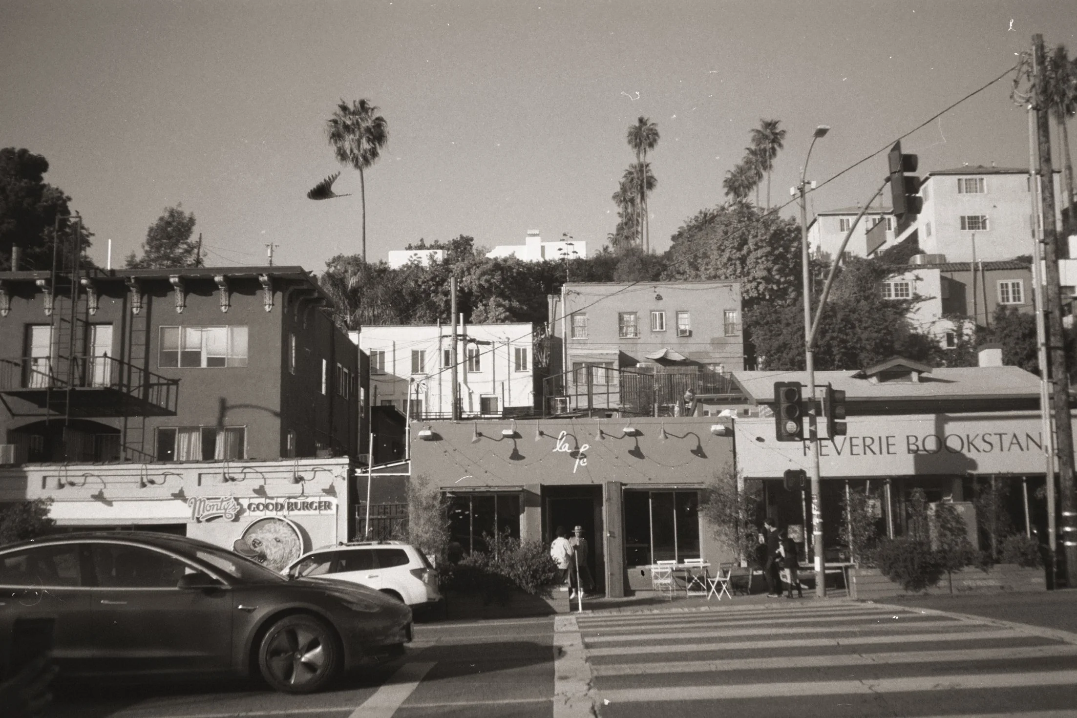 Black and white photo of a city street scene with cars, buildings, palm trees, and people waiting at a crosswalk.