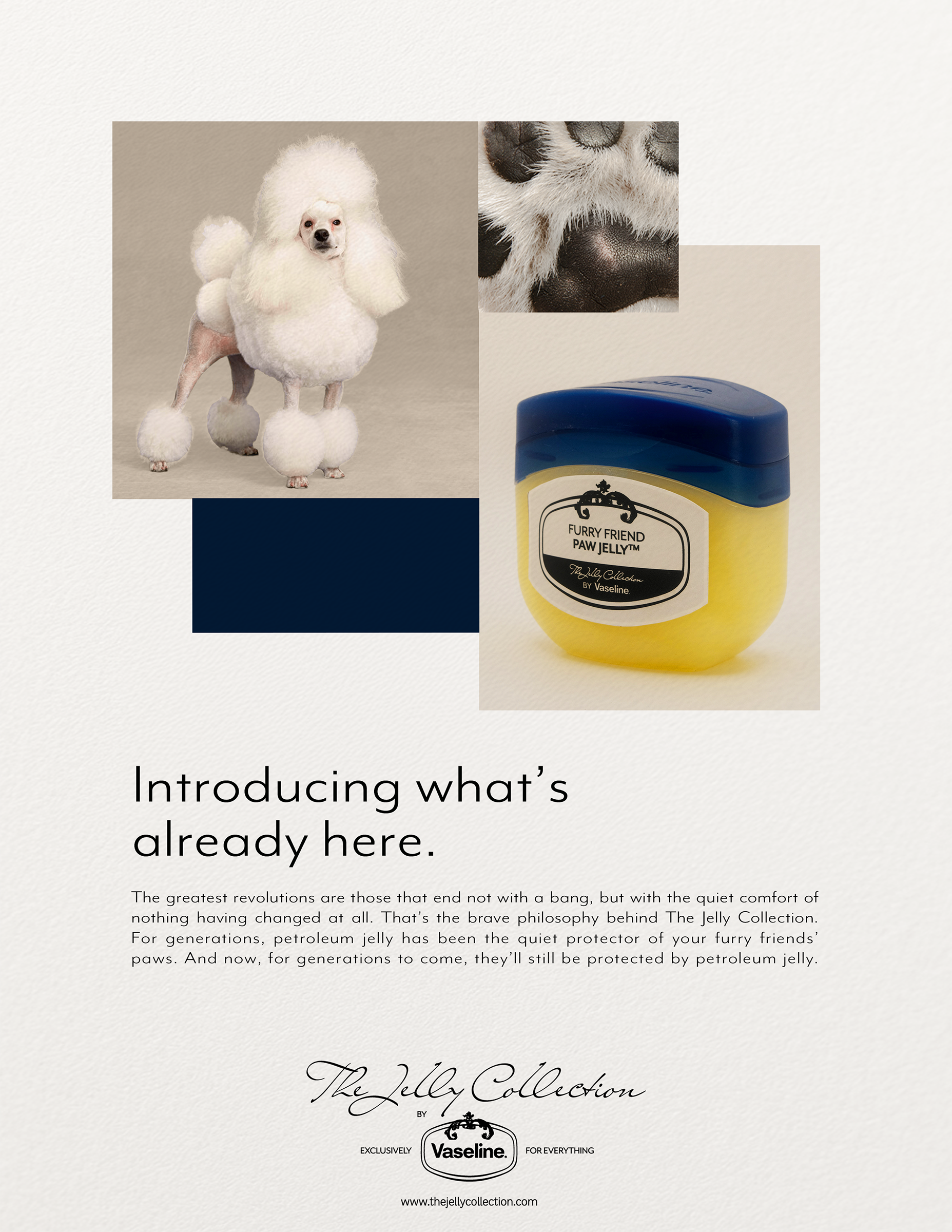 Promotional webpage for Vaseline Jelly featuring a dog dressed in a white poodle costume, with close-up of a dog’s nose and a container of Vaseline Jelly, along with text explaining the product's purpose.