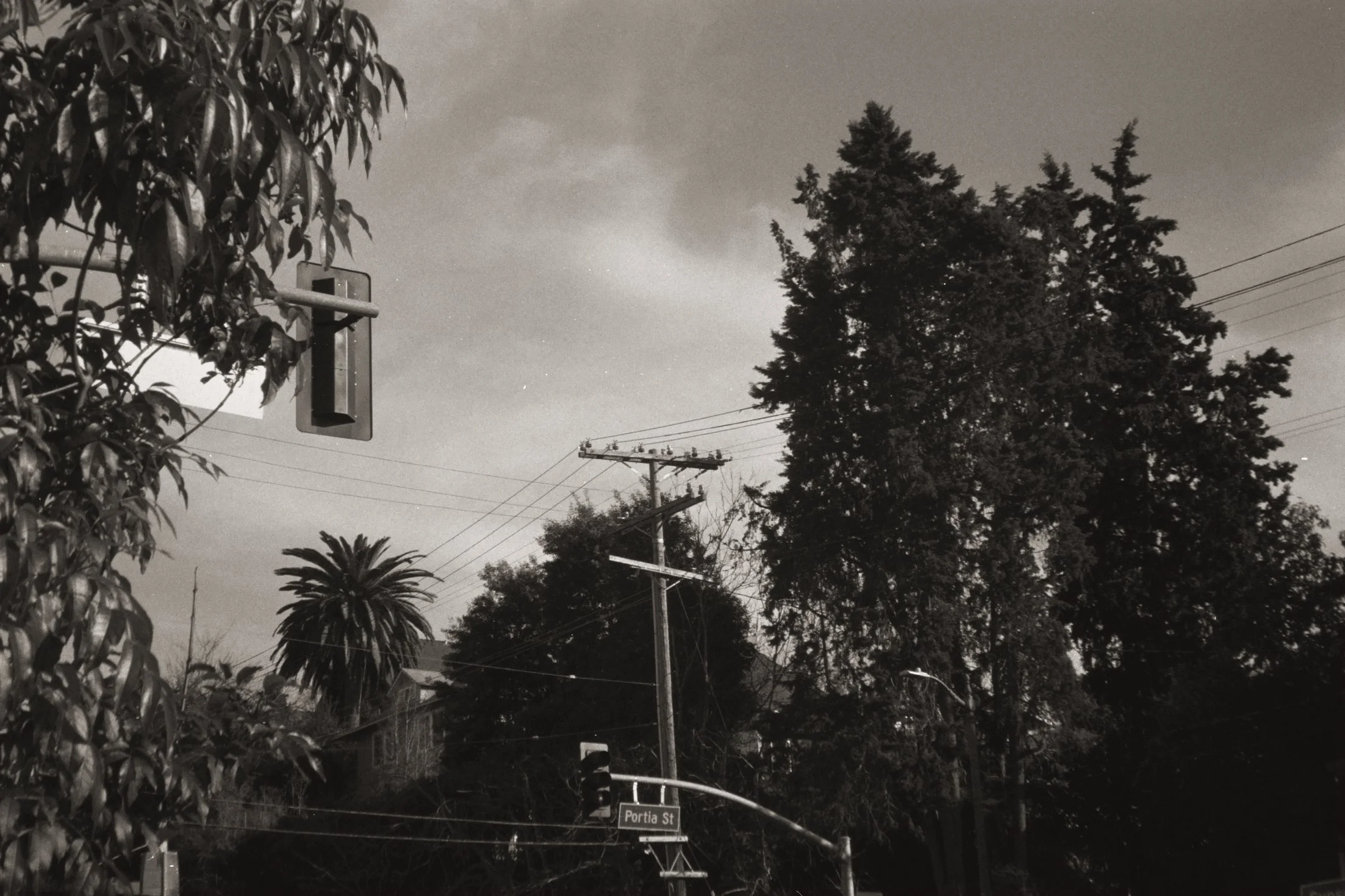 Nighttime scene showing a traffic light, utility poles, power lines, trees, and street signs for Portia Street.