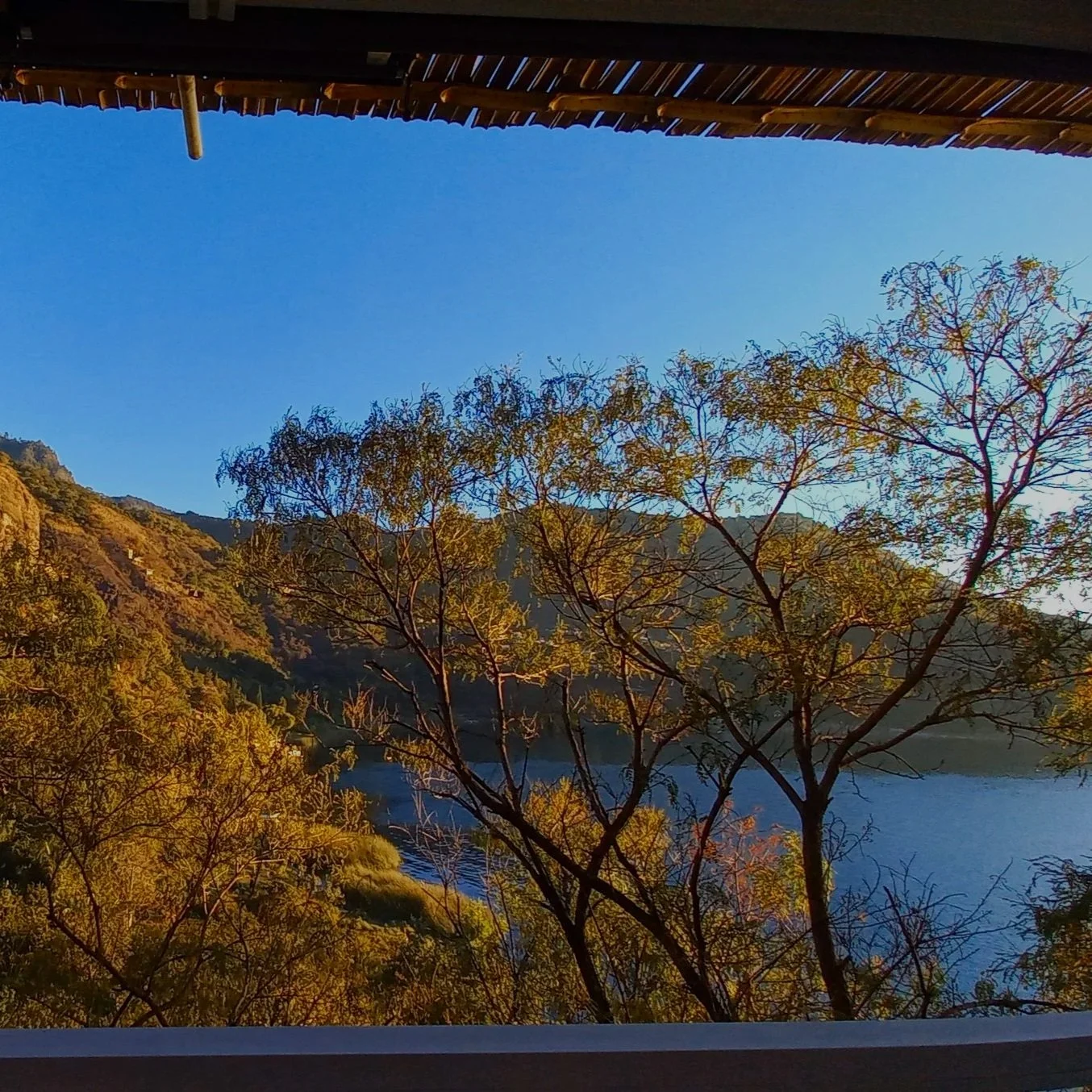 Vista de un río rodeado de árboles con hojas verdes y doradas, montañas al fondo y cielo azul despejado, vista desde una terraza con techo de cañas.