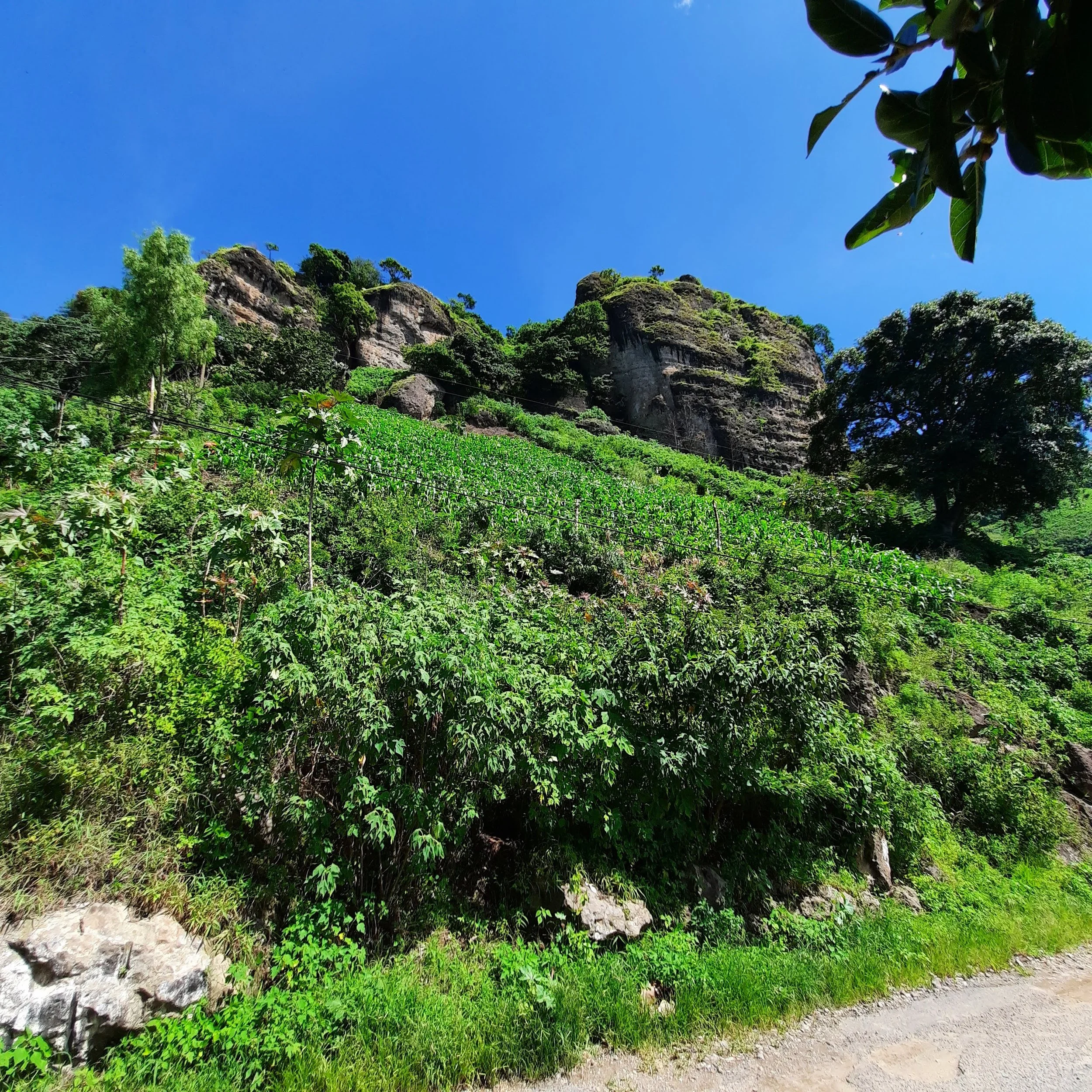 20200809_095840.jpg