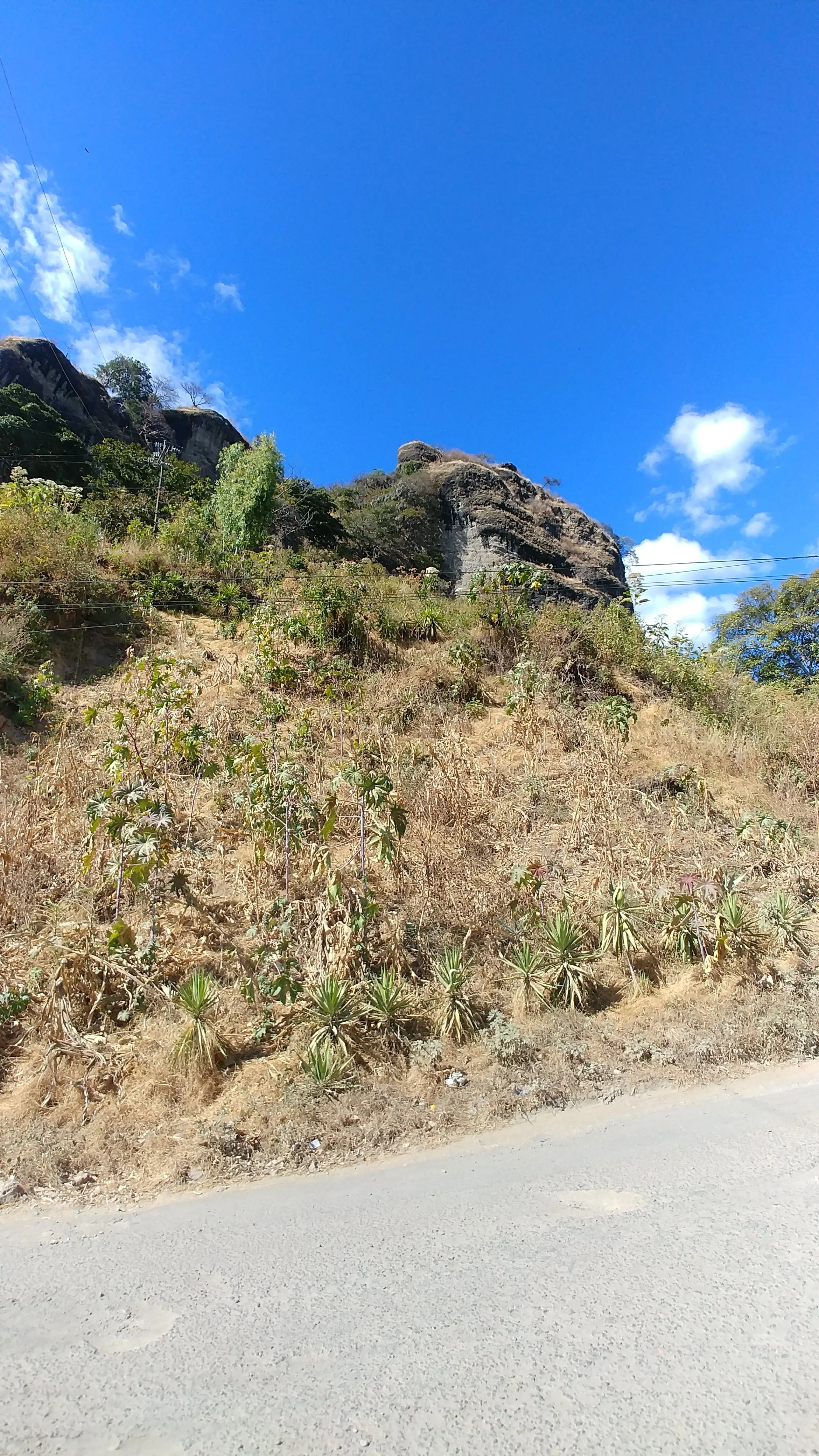 20180117_140922.jpg