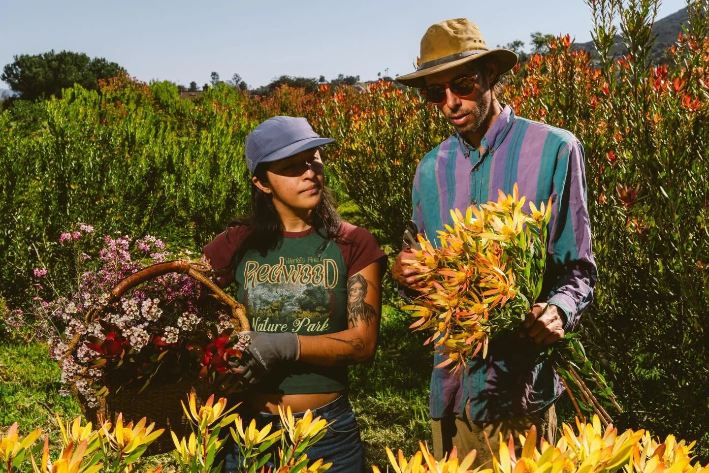 Flowers are blooming. The field is alive with color and light, bees and butterflies. We&rsquo;ll be selling at some bakeries around town next week(more info later) and I think we&rsquo;ll start a u-pick operation soon. Stay tooned. 📸 @jonathanfurlon