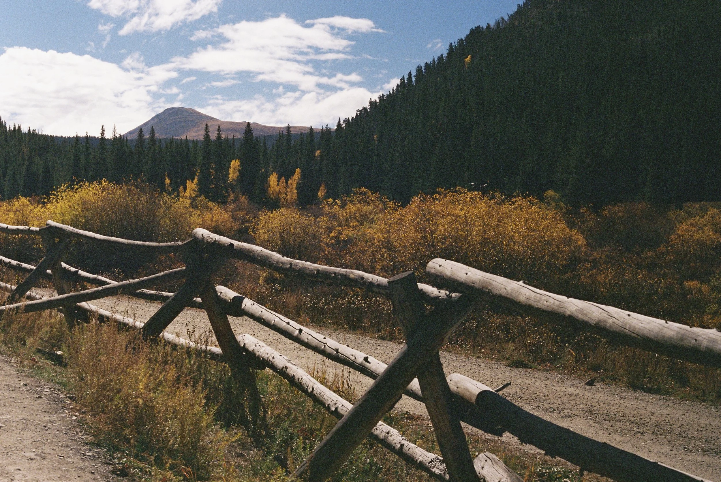 Mountains and Fence.AlenaPillitteri.25.jpg