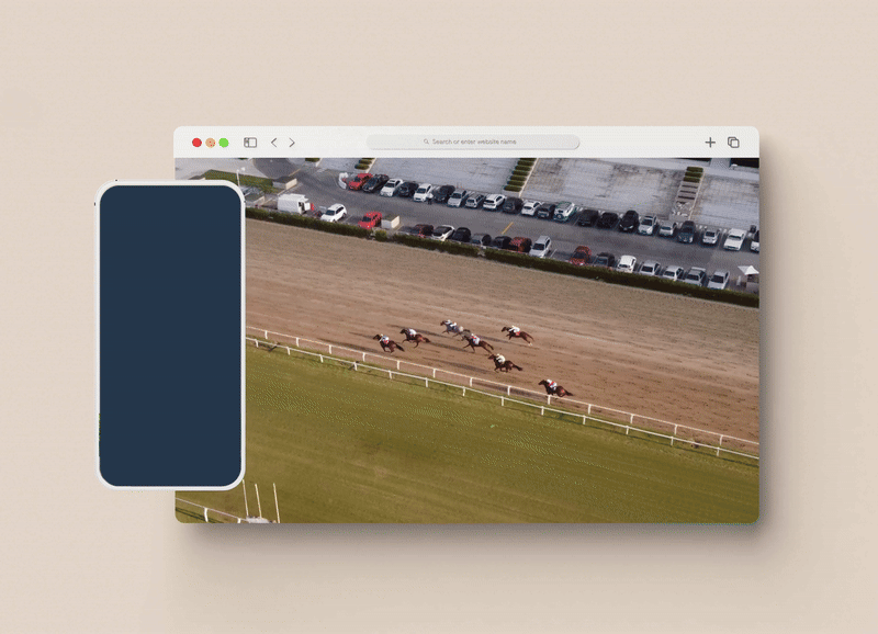 Abu Dhabi Equestrian Club Rebrand Web Display