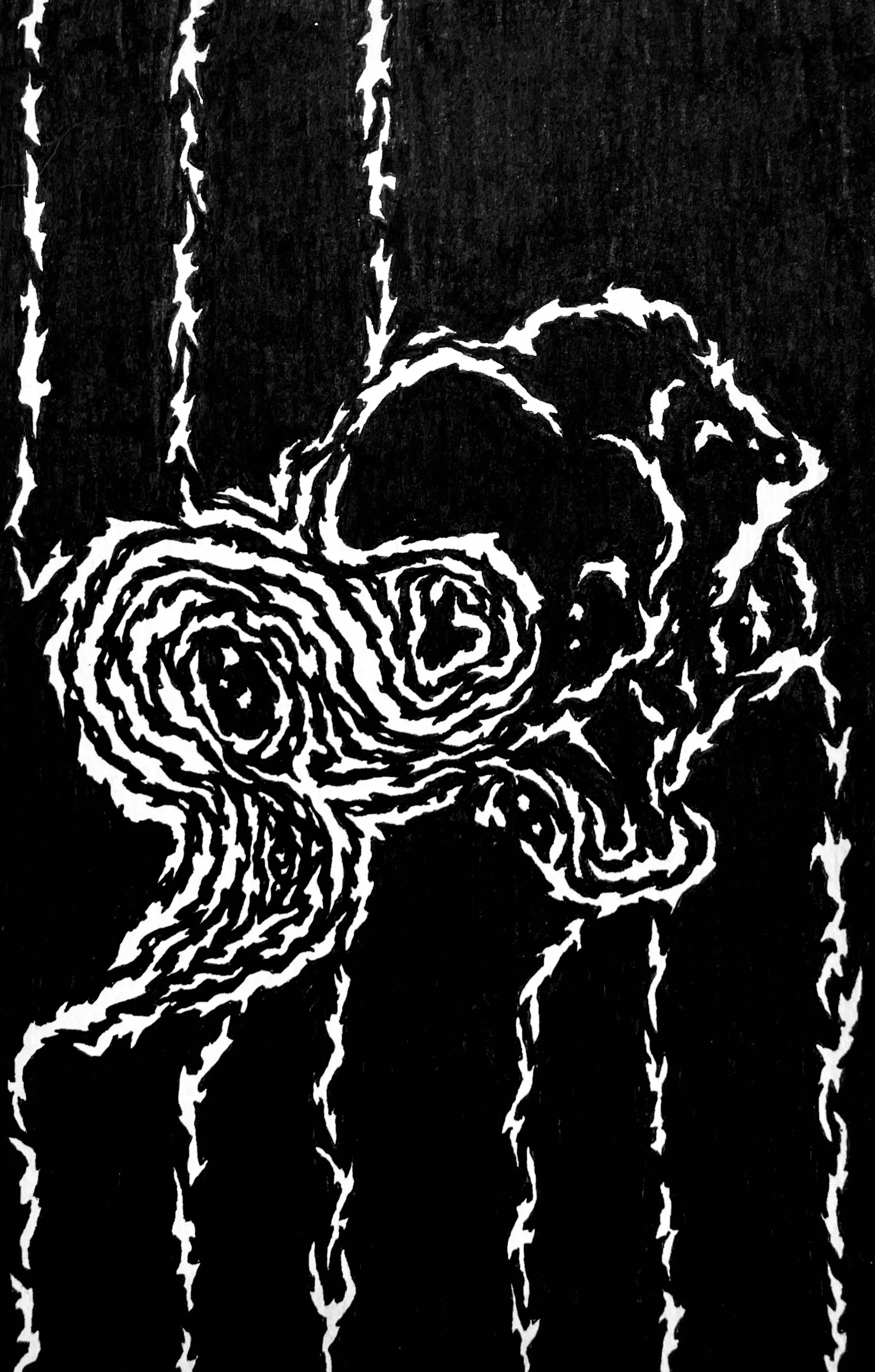 IMG_7667.jpeg
