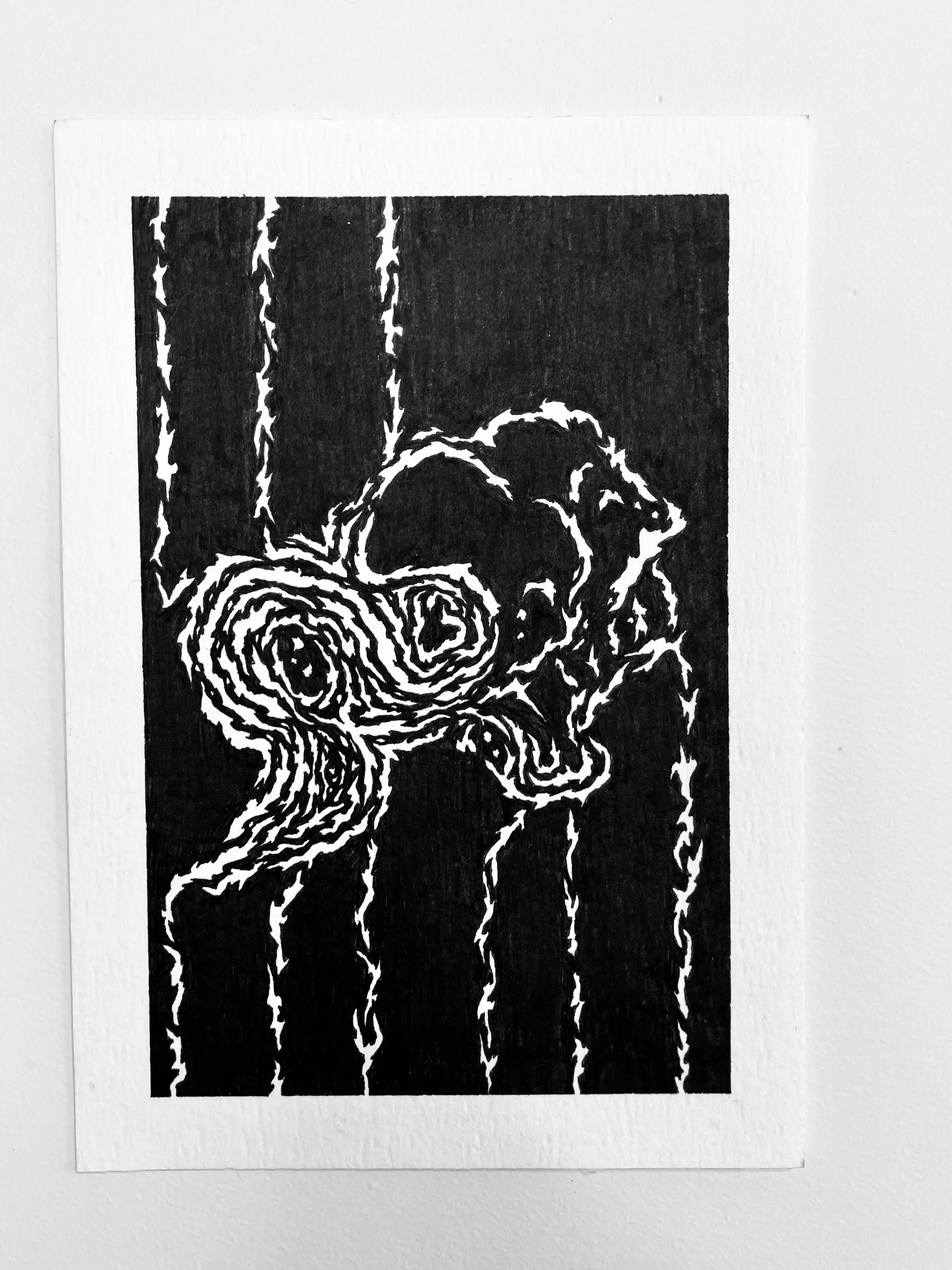 Black and white abstract artwork of a dog with a spiral pattern on its head, behind wooden bars.
