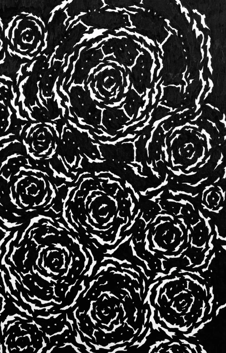 IMG_9295.jpeg