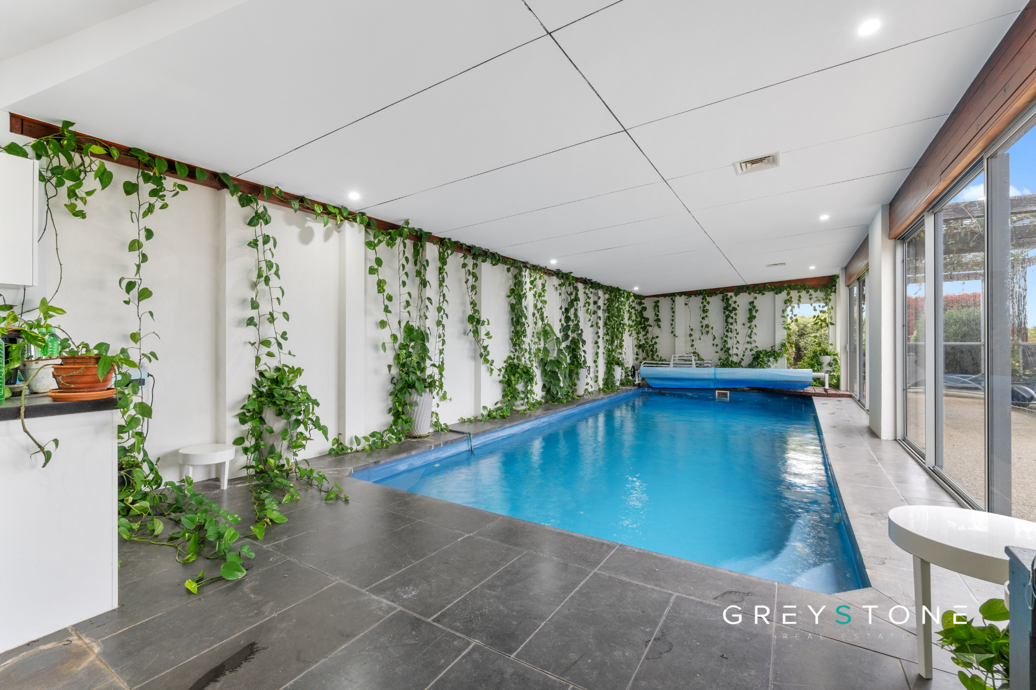 Indoor swimming pool with blue water, surrounded by gray stone tiles, large glass windows on one side, and decorative green vines on the white walls.