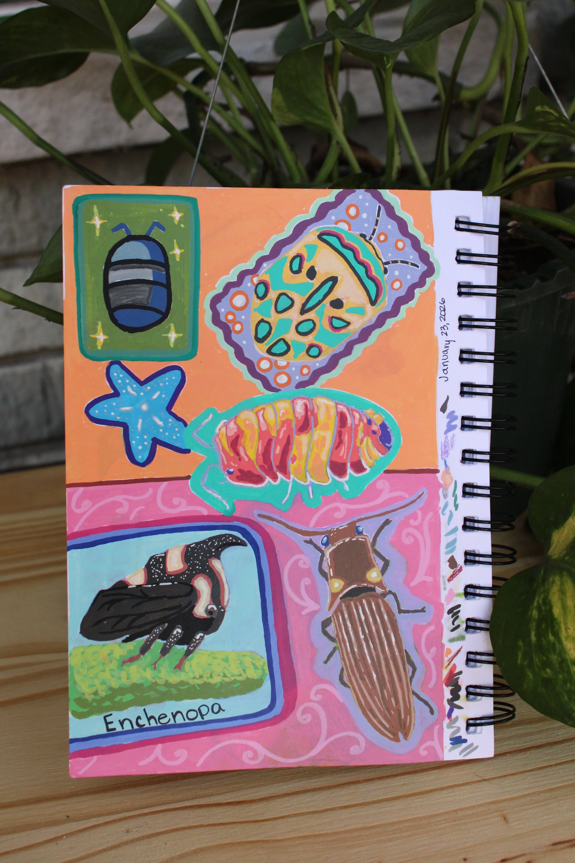 Varius colorful bugs drawn and painted with acrylic markers on 98lb mixed media paper.