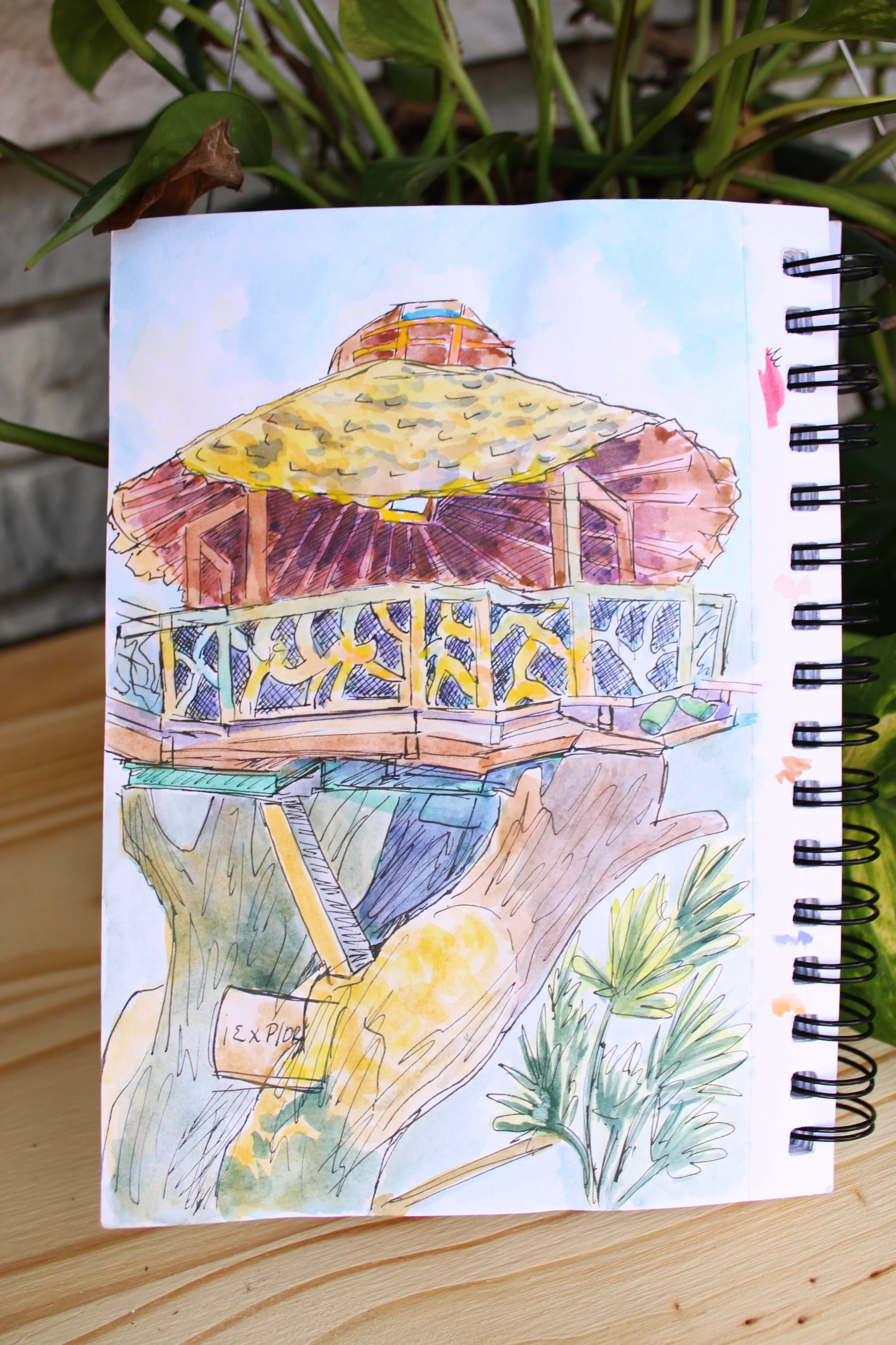 Colorful watercolor drawing of a treehouse with a yellow thatched roof, built on a large tree branch, with a small sign in front and green plants nearby.