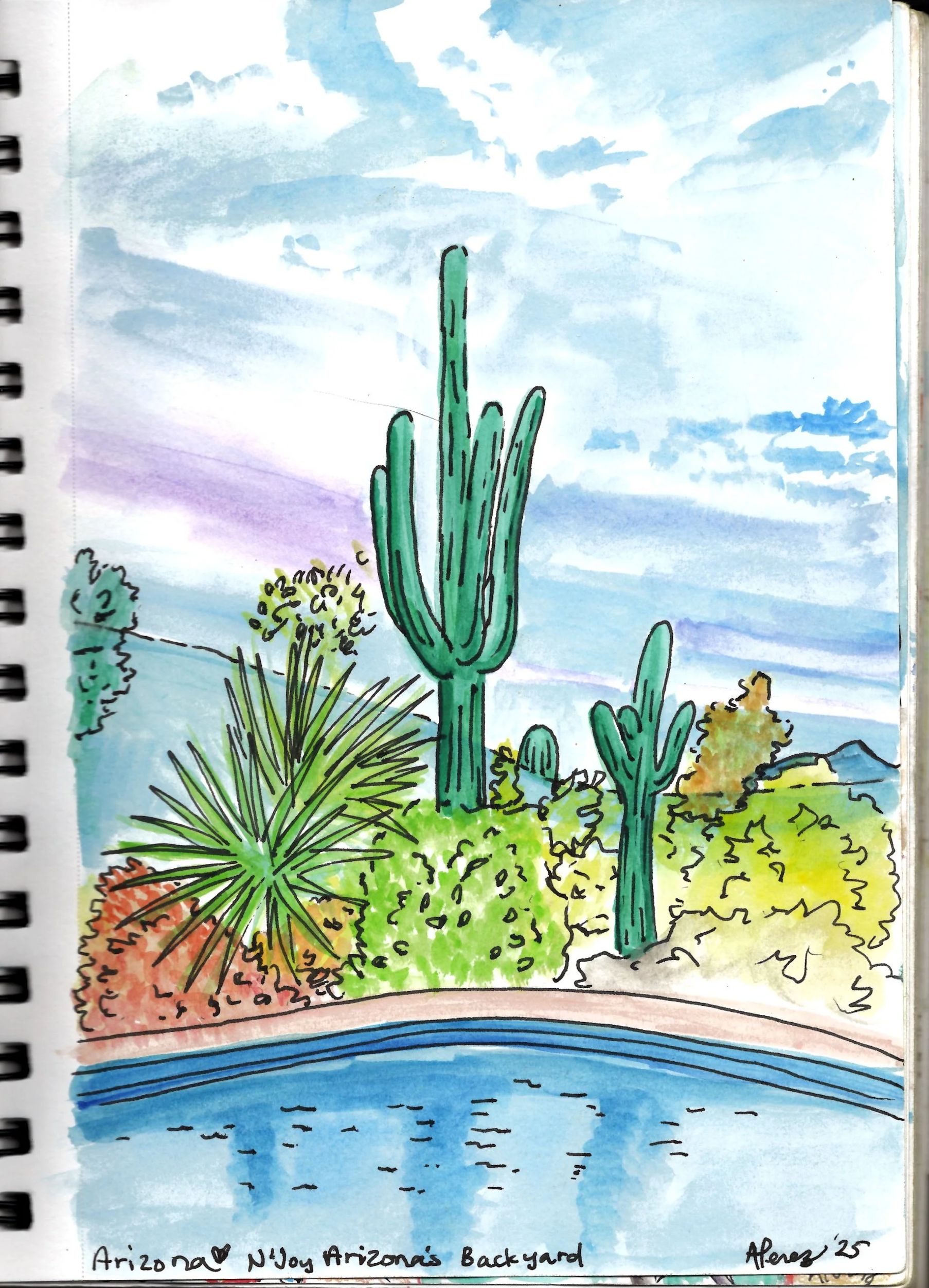 A watercolor painting of an Arizona backyard with cacti, desert plants, and a blue pool under a cloudy sky.