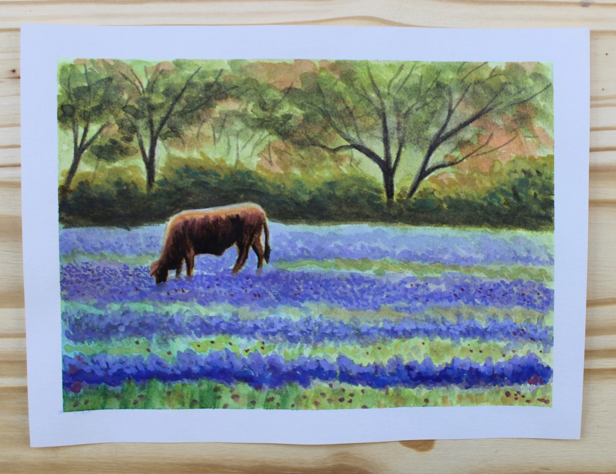 Brahman in Bluebonnets