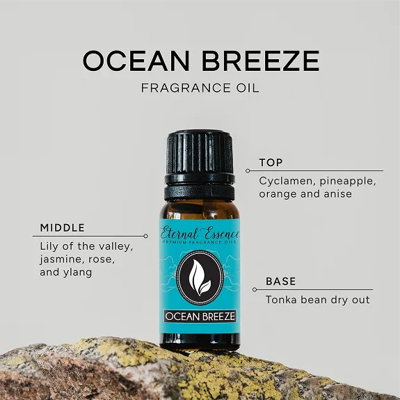 Fragrance_Notes_32_1_1.webp