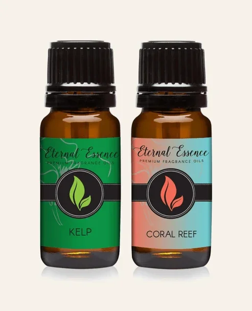 Coral Reef & Kelp