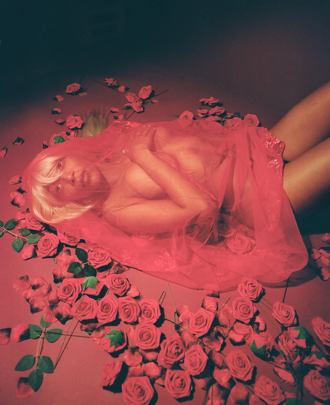 Woman with platinum blond bangs and hair lying on red floor surrounded by roses and covered in a red see through veil