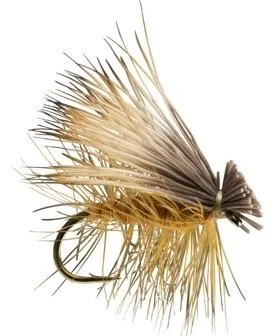 Elkhair Caddis 3pk