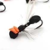 High Vis Foam Ant 3pk