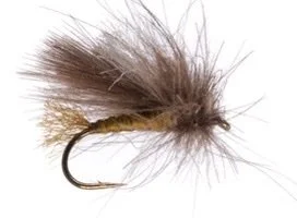 Cornfed Caddis 3pk
