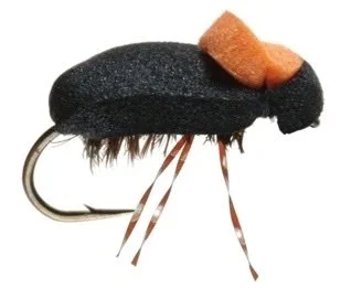 Foam Beetle 3pk