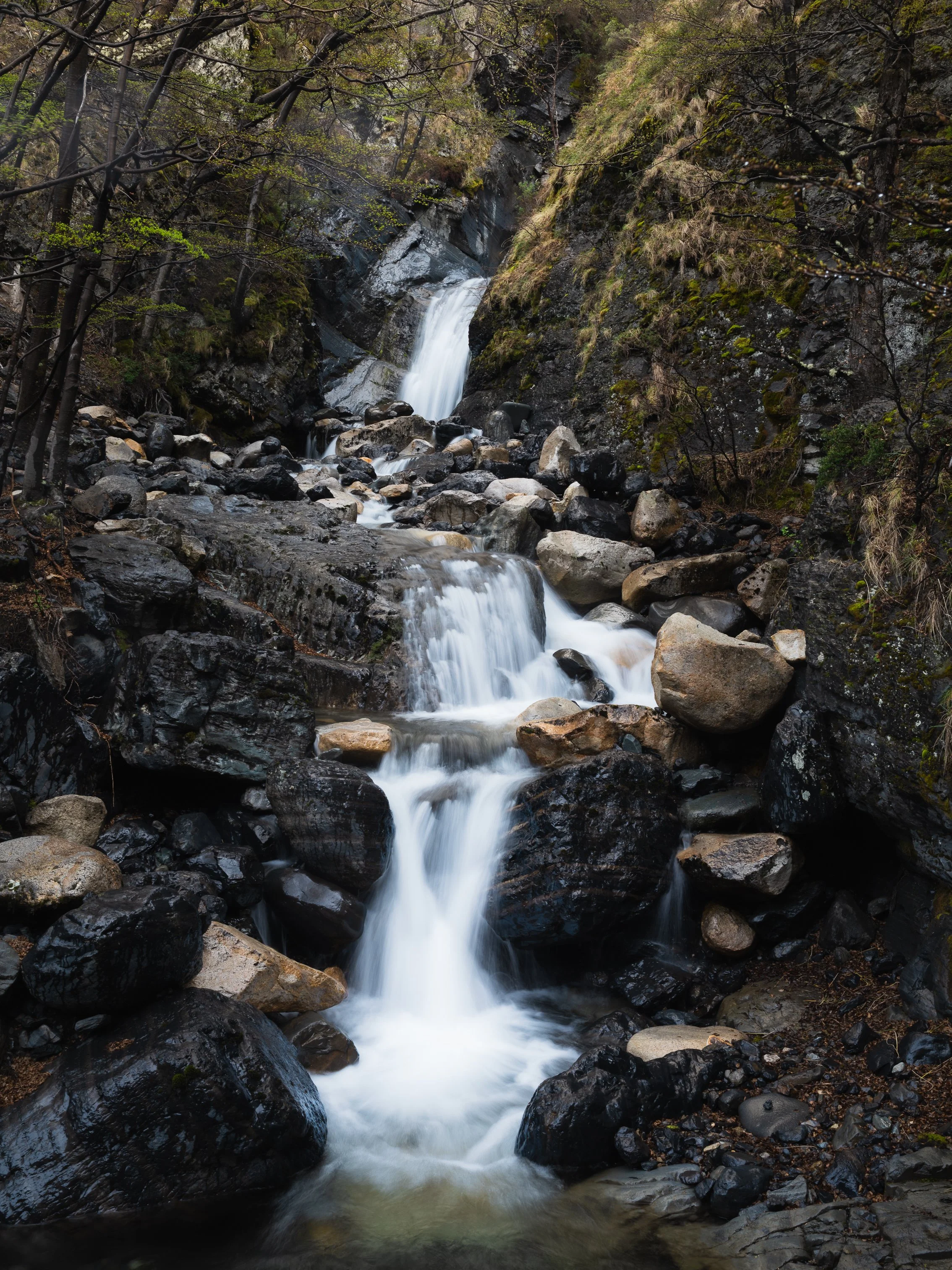 A multi-tiered waterfall flowing over rocks in a forested area, surrounded by trees with sparse green foliage.