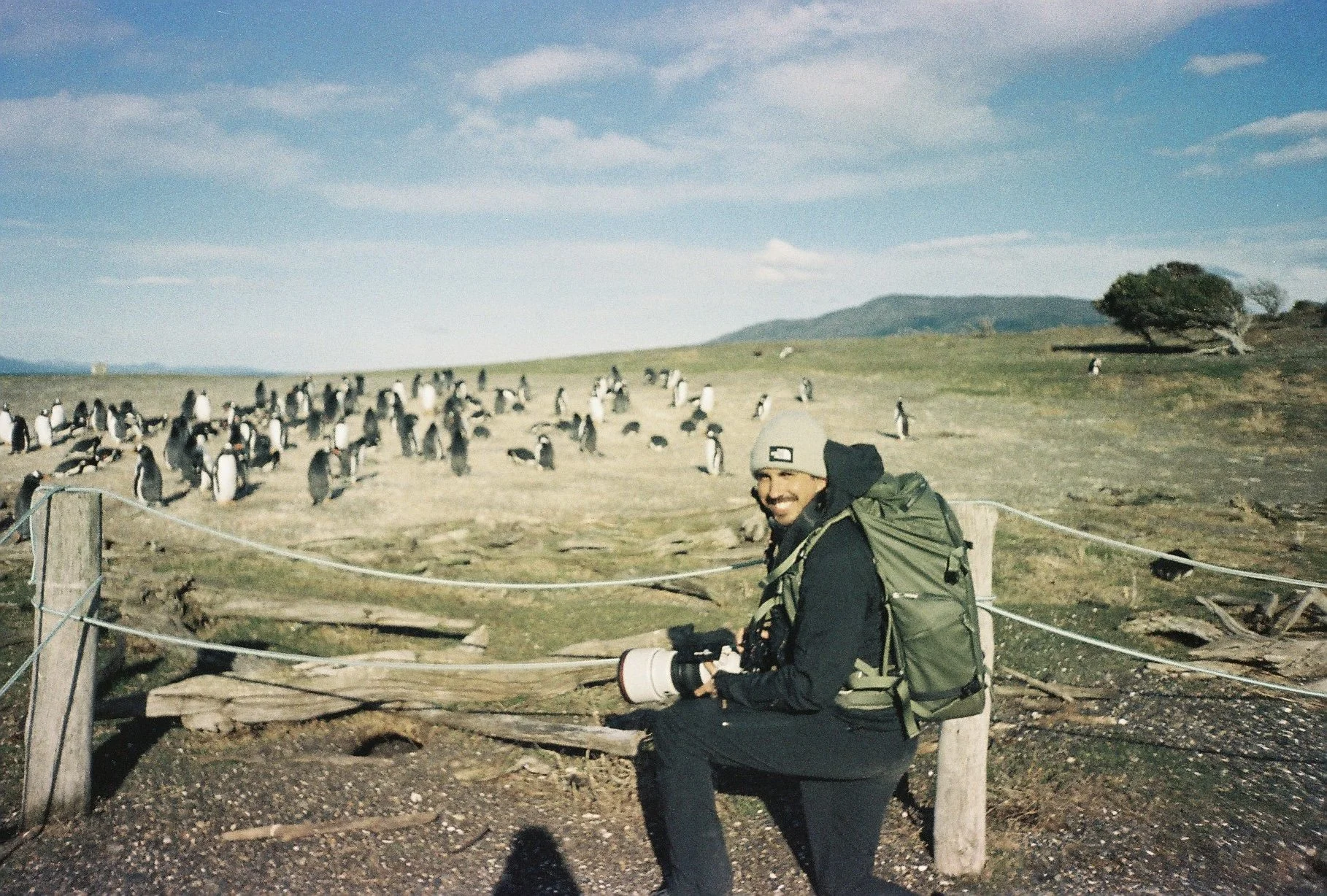 Fer Richaud , photographer with a gray beanie, black jacket, and a green backpack sitting by a wooden fence, holding a camera with a large lens. Behind him is a large group of penguins standing and walking on a grassy landscape.