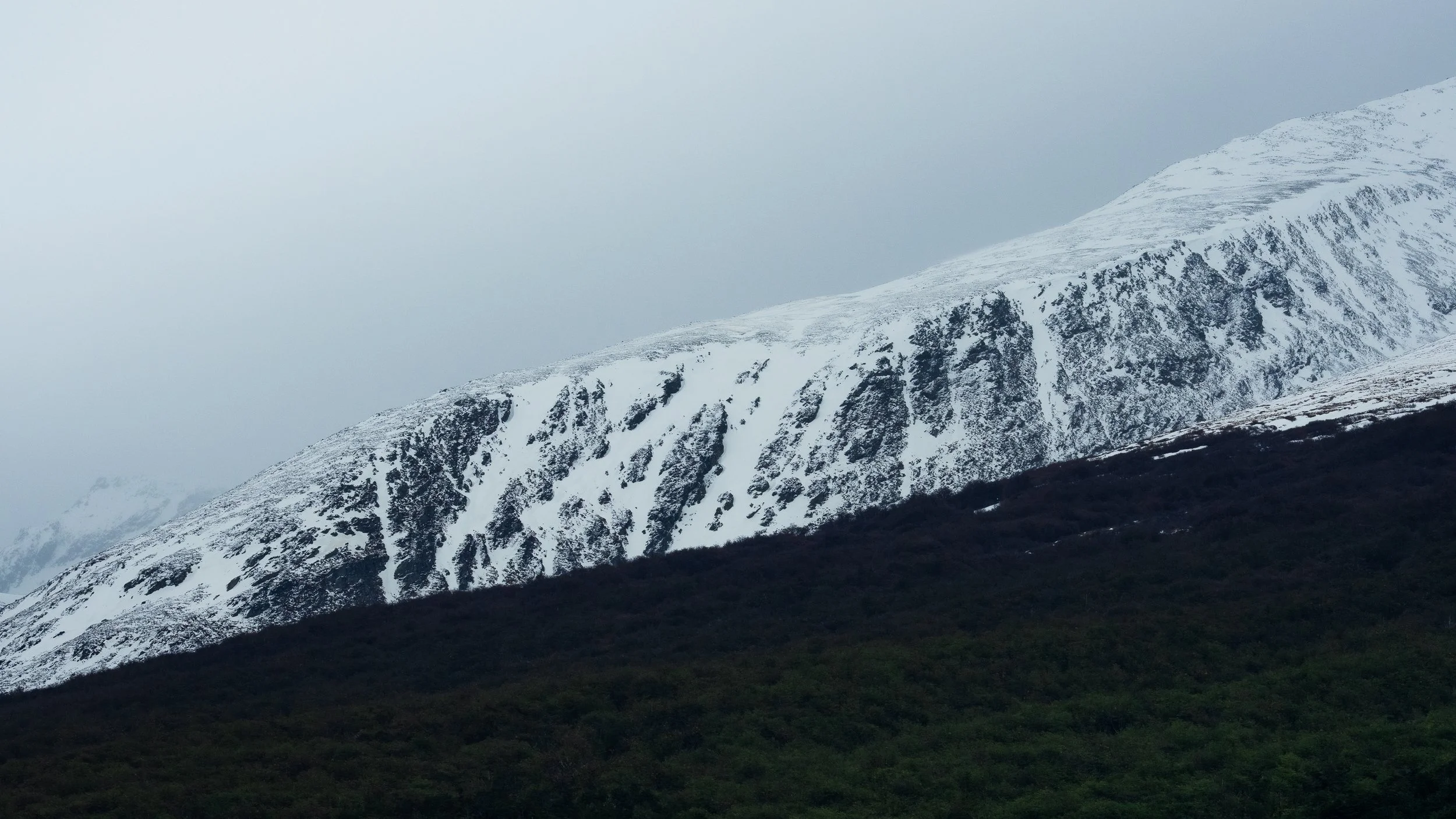 Snow-capped mountain with dark green forest at the base and cloudy sky overhead.