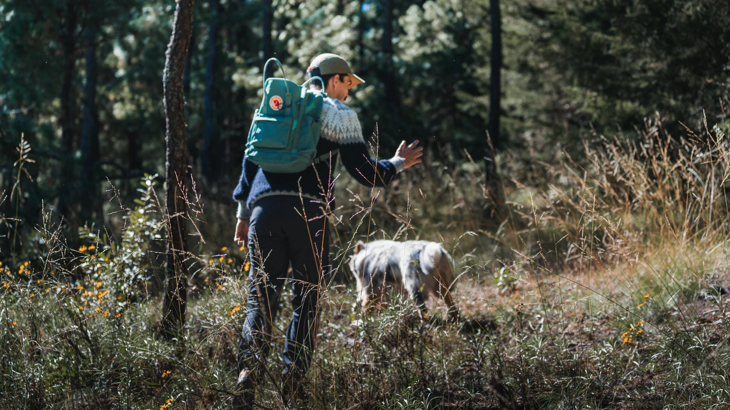 Person in a hat hiking through a forested trail with a dog, carrying a blue backpack.