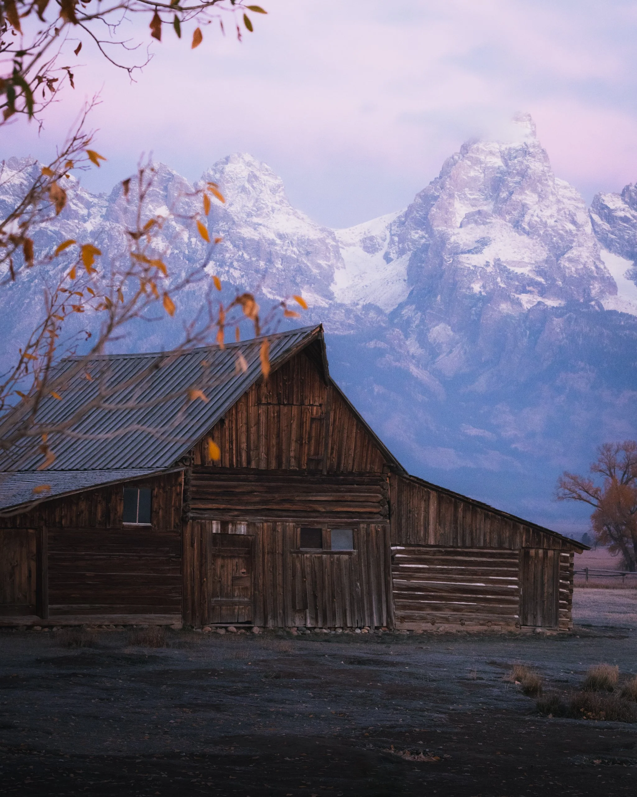 yellowstone website banner-5.jpg