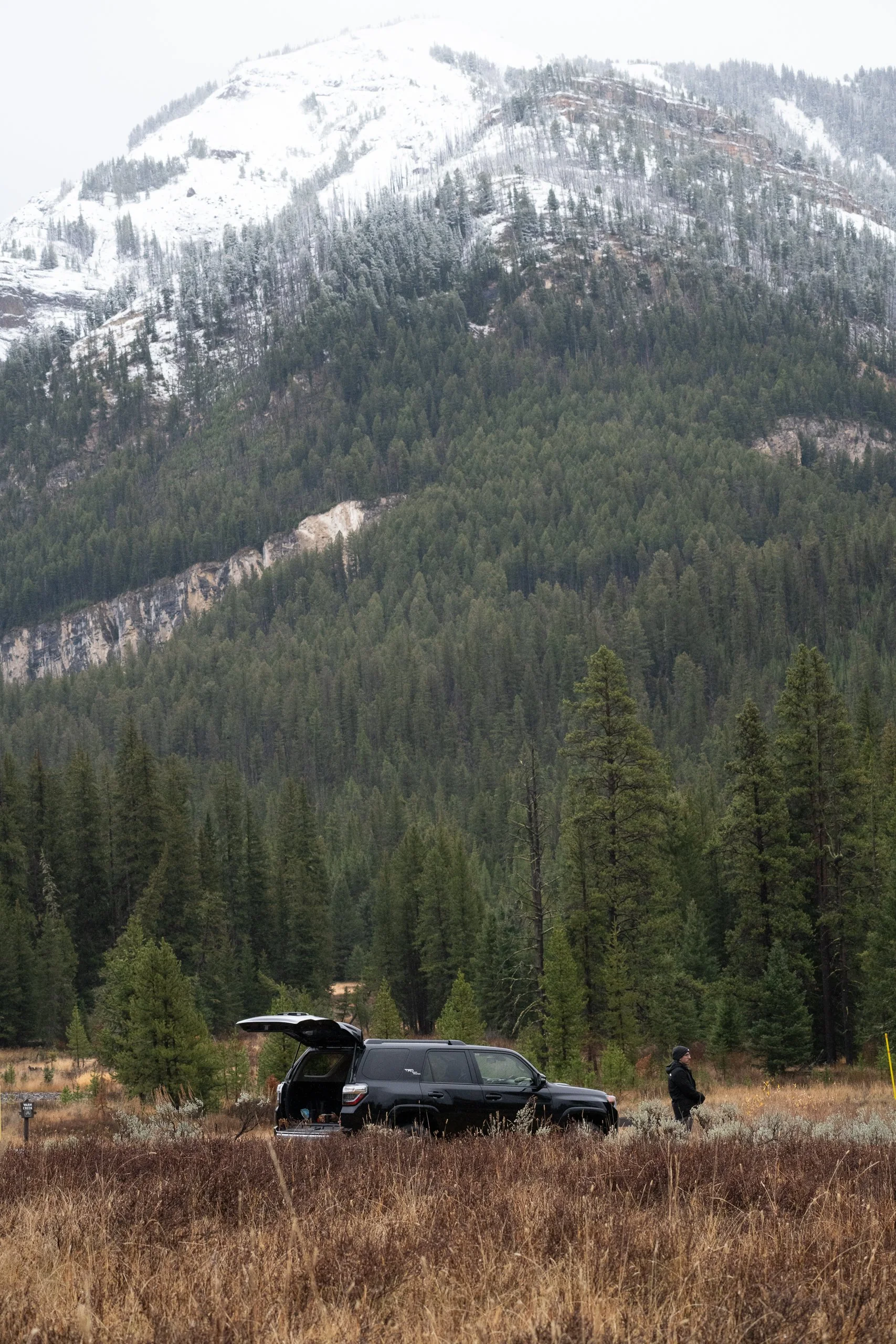 A person standing next to a black SUV with its rear hatch open, in a grassy field surrounded by tall trees and a mountainous landscape with snow-capped peaks in the background.