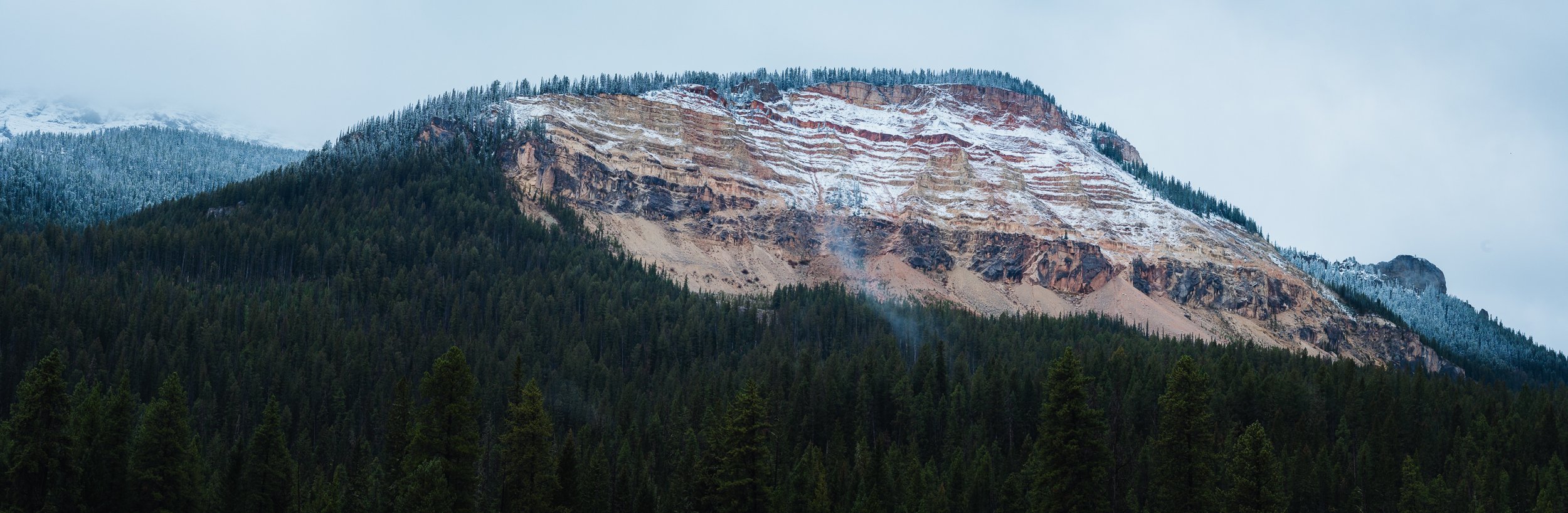 A mountain with snow on top, layers of colorful rock, and a forest of pine trees at the base.