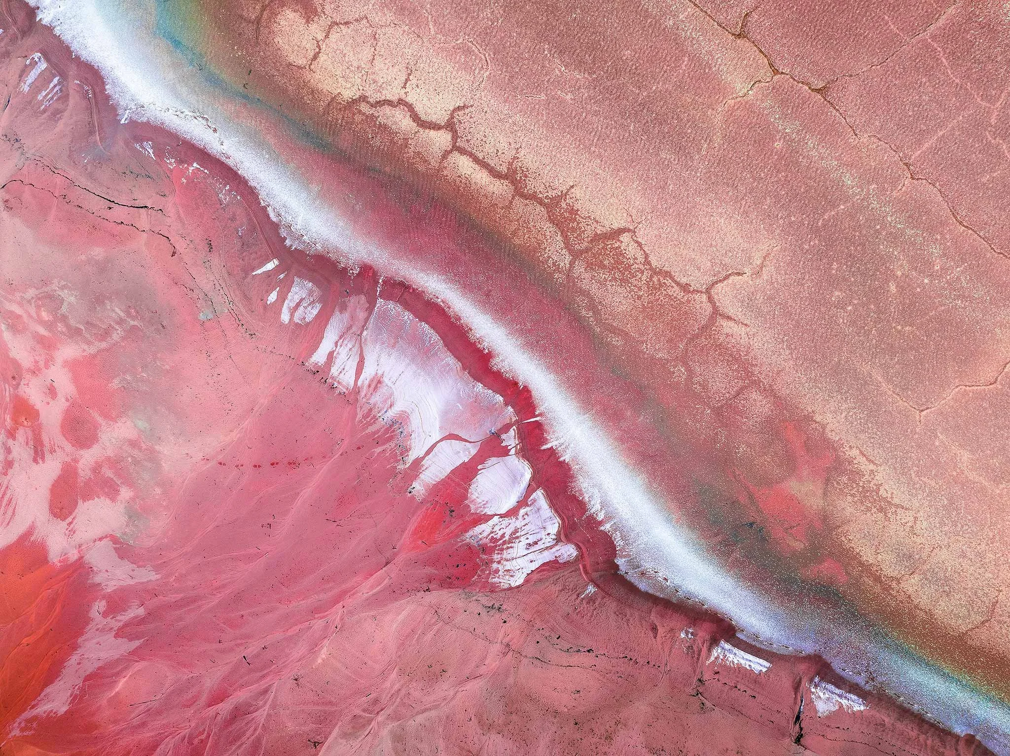 Pink Lake Perfection