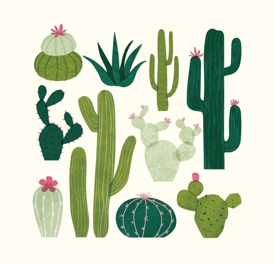 Sweet and Simple Trailer