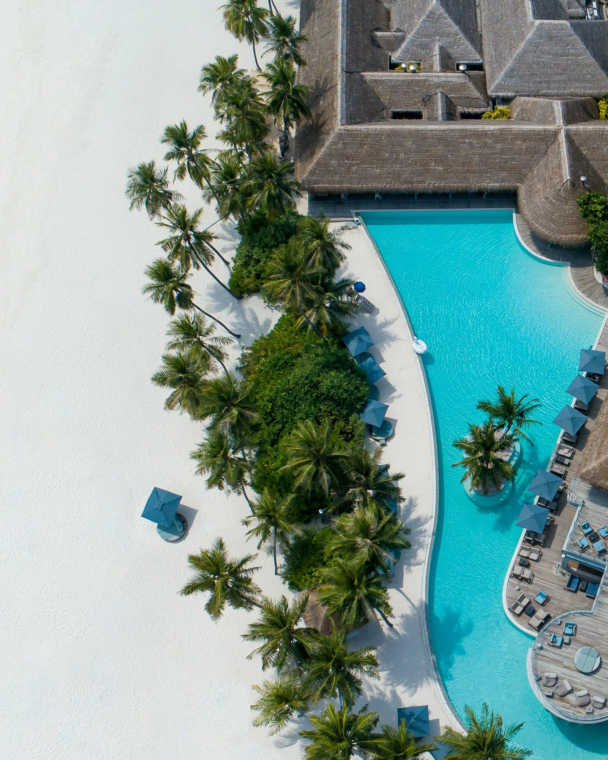 Aerial view of a resort pool area lined with palm trees, sun umbrellas, and lounge chairs, next to a thatched roof building, with white sandy beach on one side.