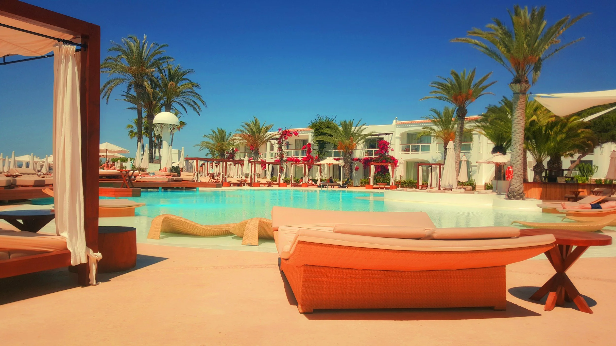 Hotel pool area with lounge chairs, umbrellas, palm trees, and a white building in the background under a clear blue sky.