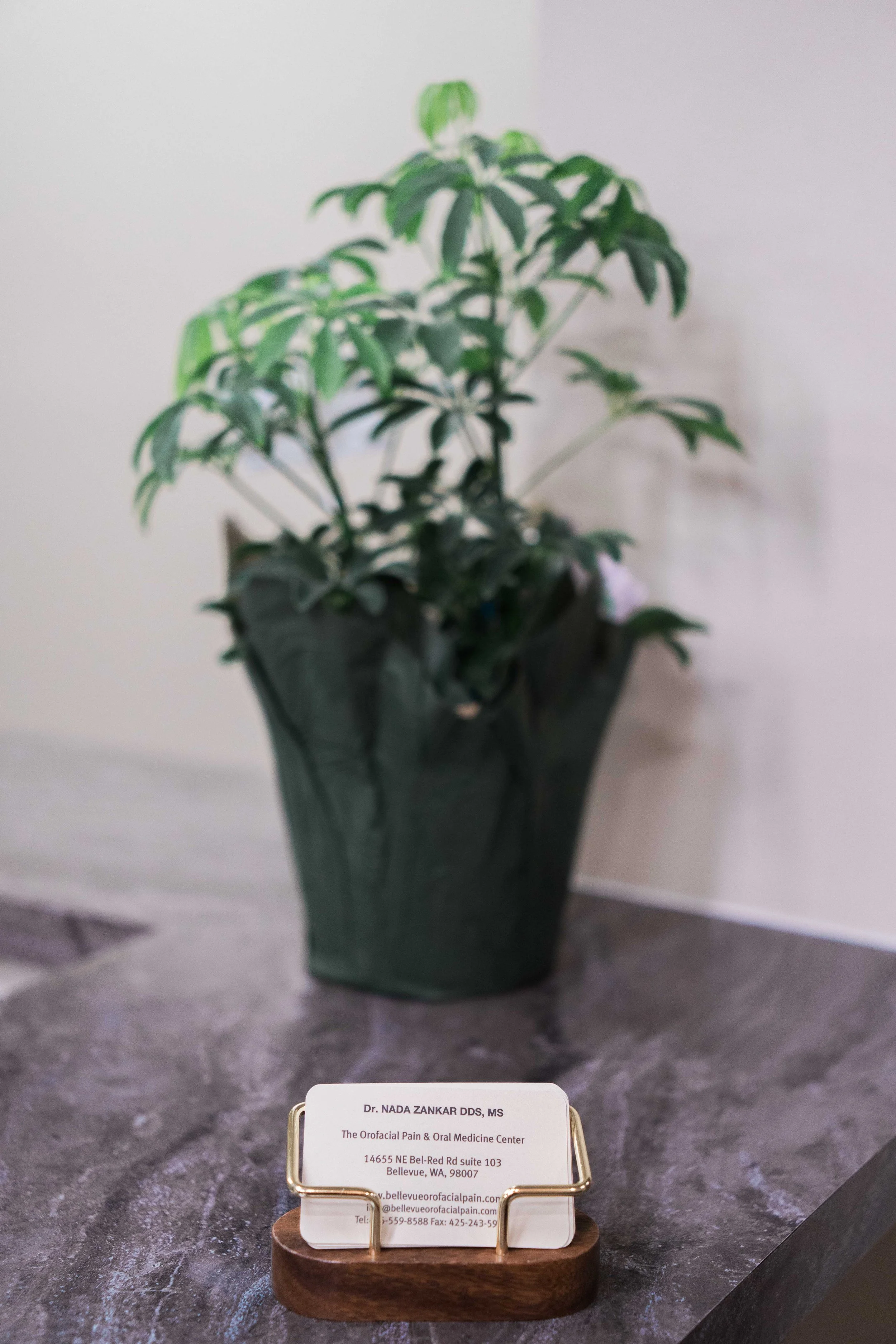 A potted plant with variegated green and white leaves, placed on a table. In the foreground, there is a business card holder with a card for Dr. NADA ZANKAR DDS, MS, at the Bellevue, WA, Orofacial Pain & Oral Medicine Center.