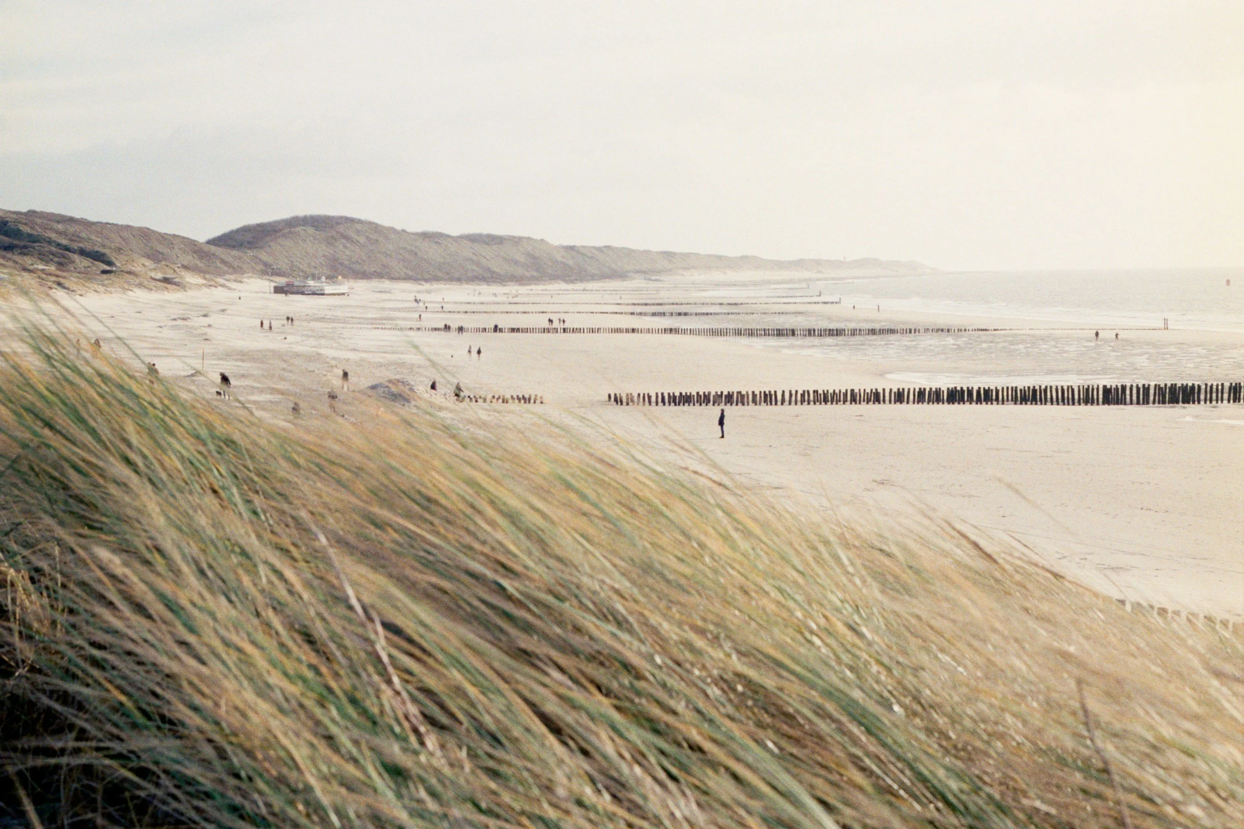 Een zandstrand met grasachtige duinen op de voorgrond, mensen die wandelen, houten palen en een zee in de achtergrond, onder een bewolkte hemel.