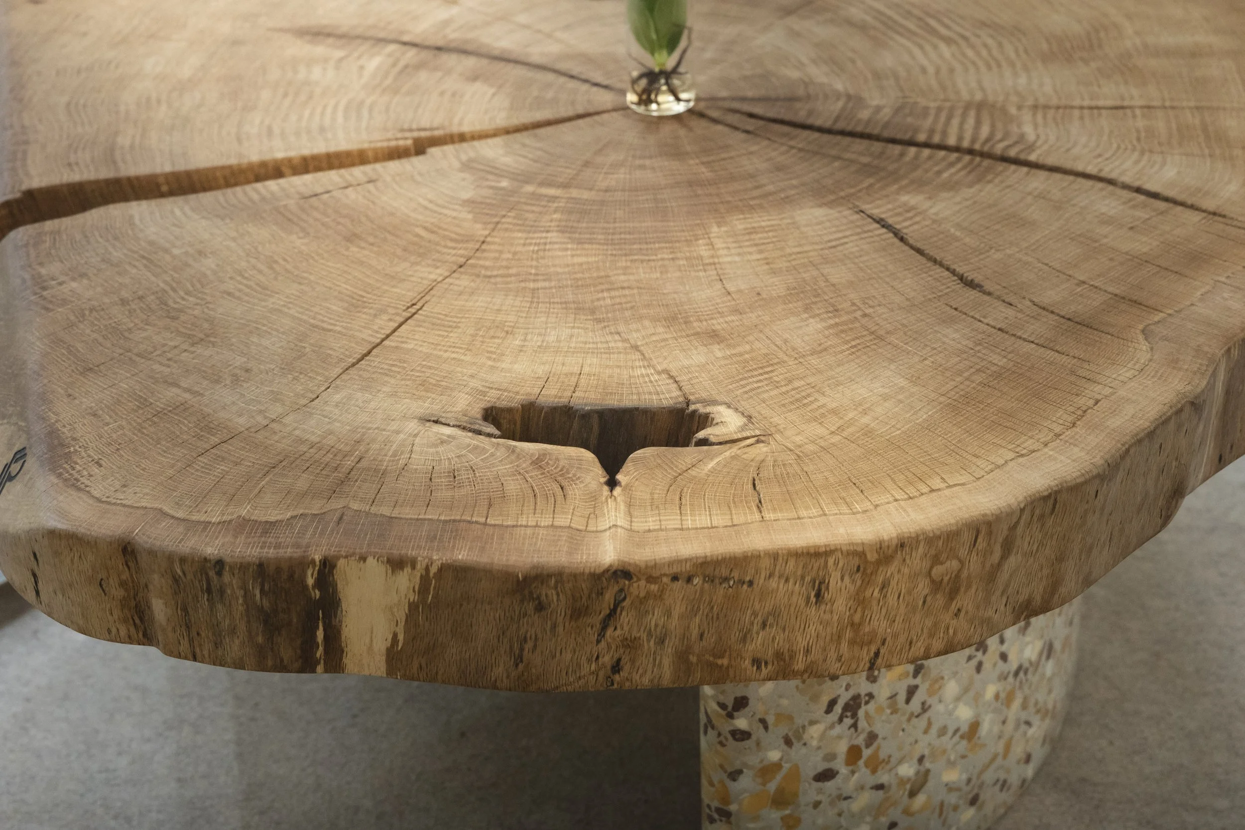 Dubový konferenčný 01.jpg