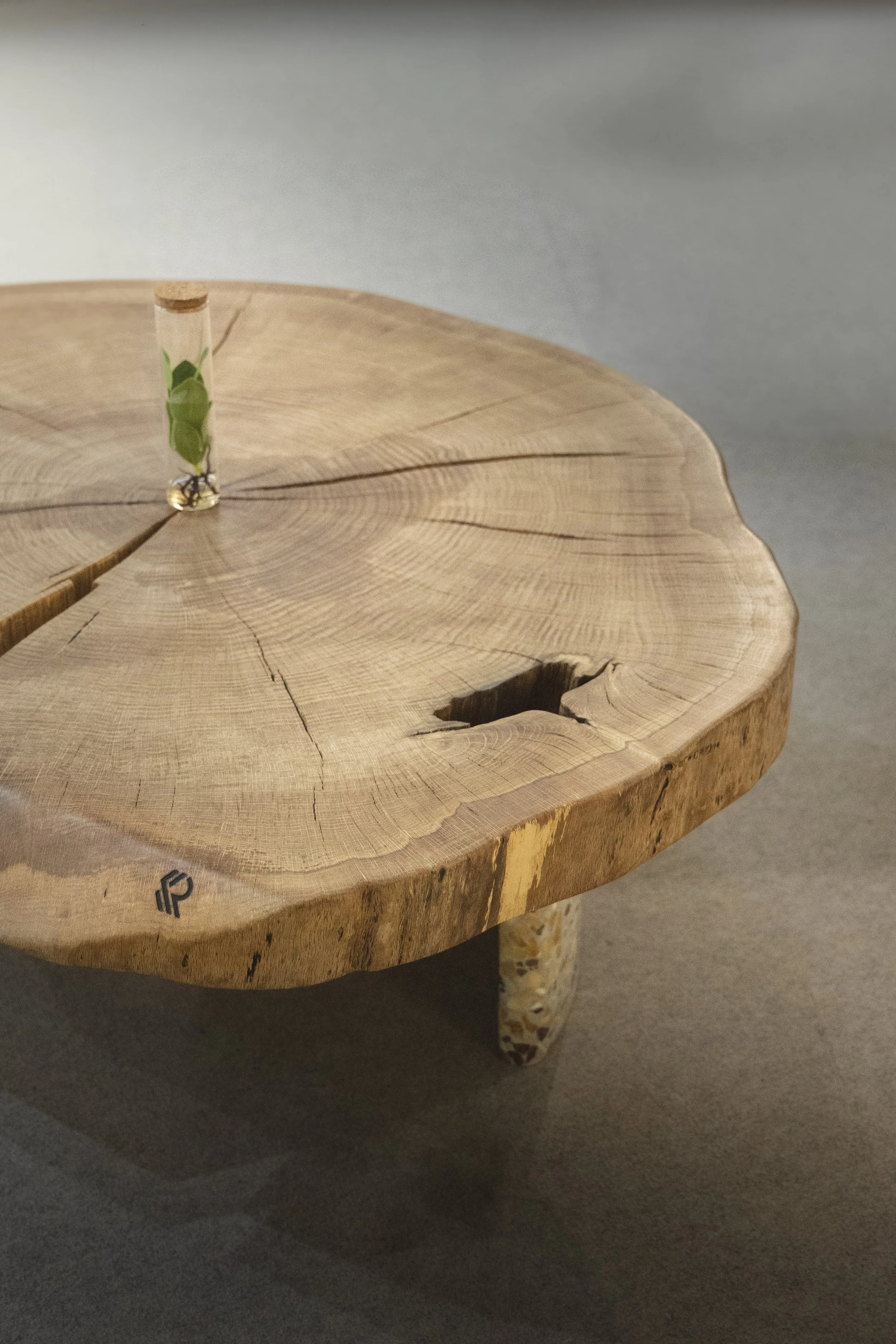 Dubový konferenčný 02.jpg