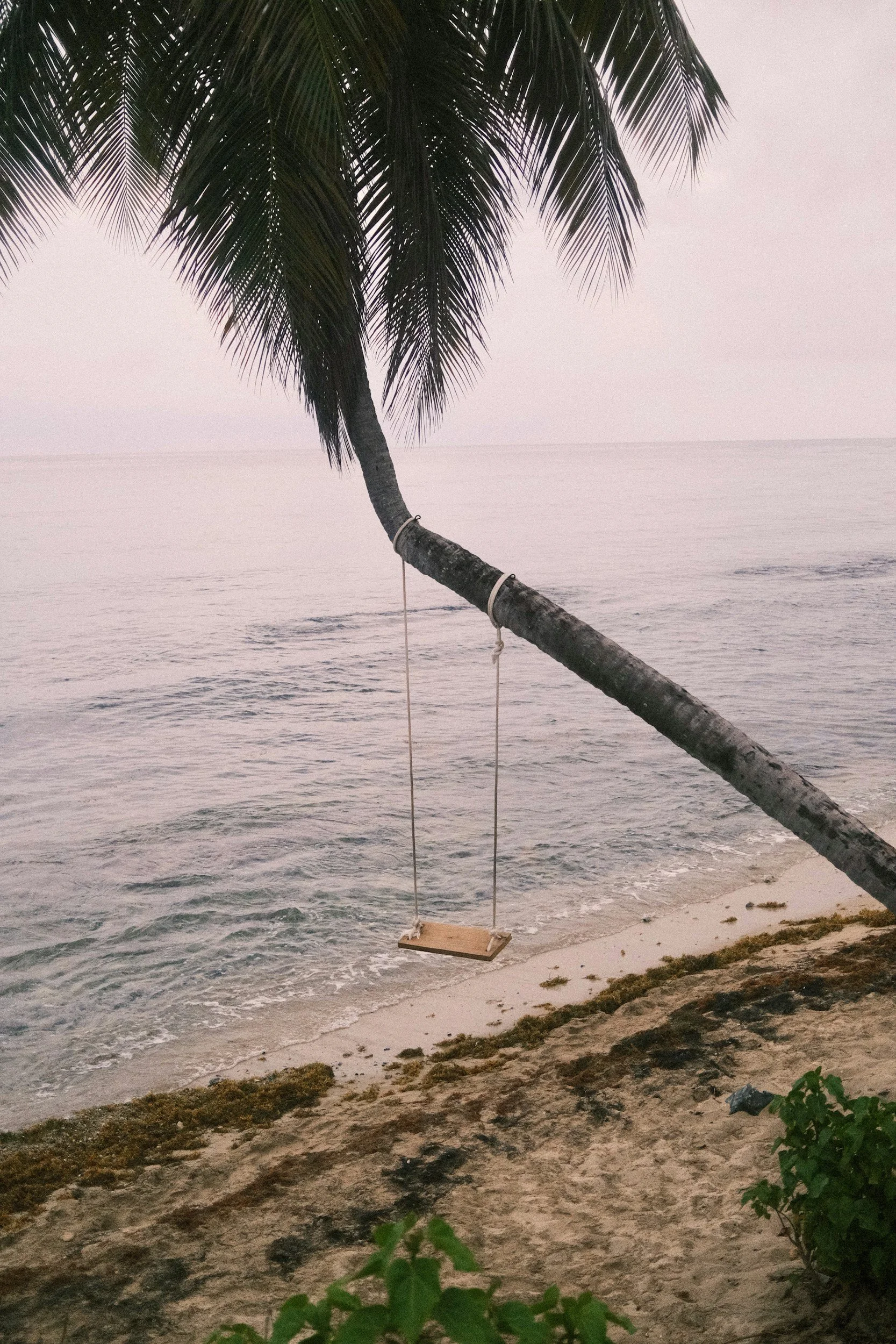 A wooden swing hanging from a leaning palm tree on a pinkish beach at twilight.