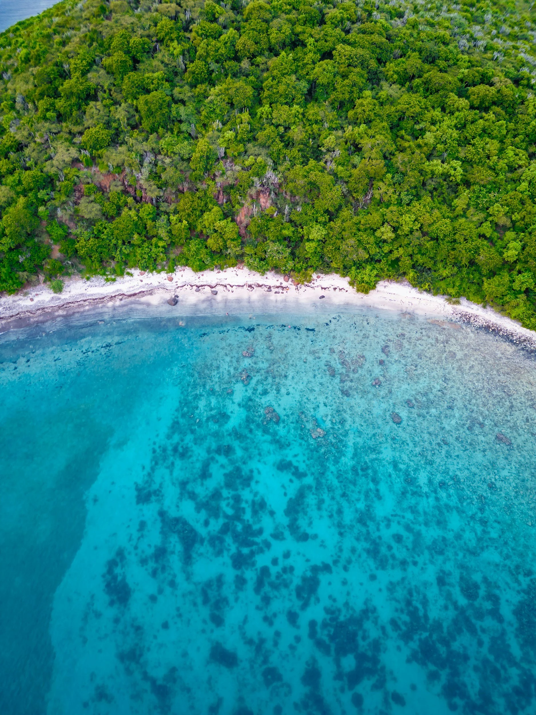 Aerial view of a tropical beach with clear blue water and green forest shoreline.