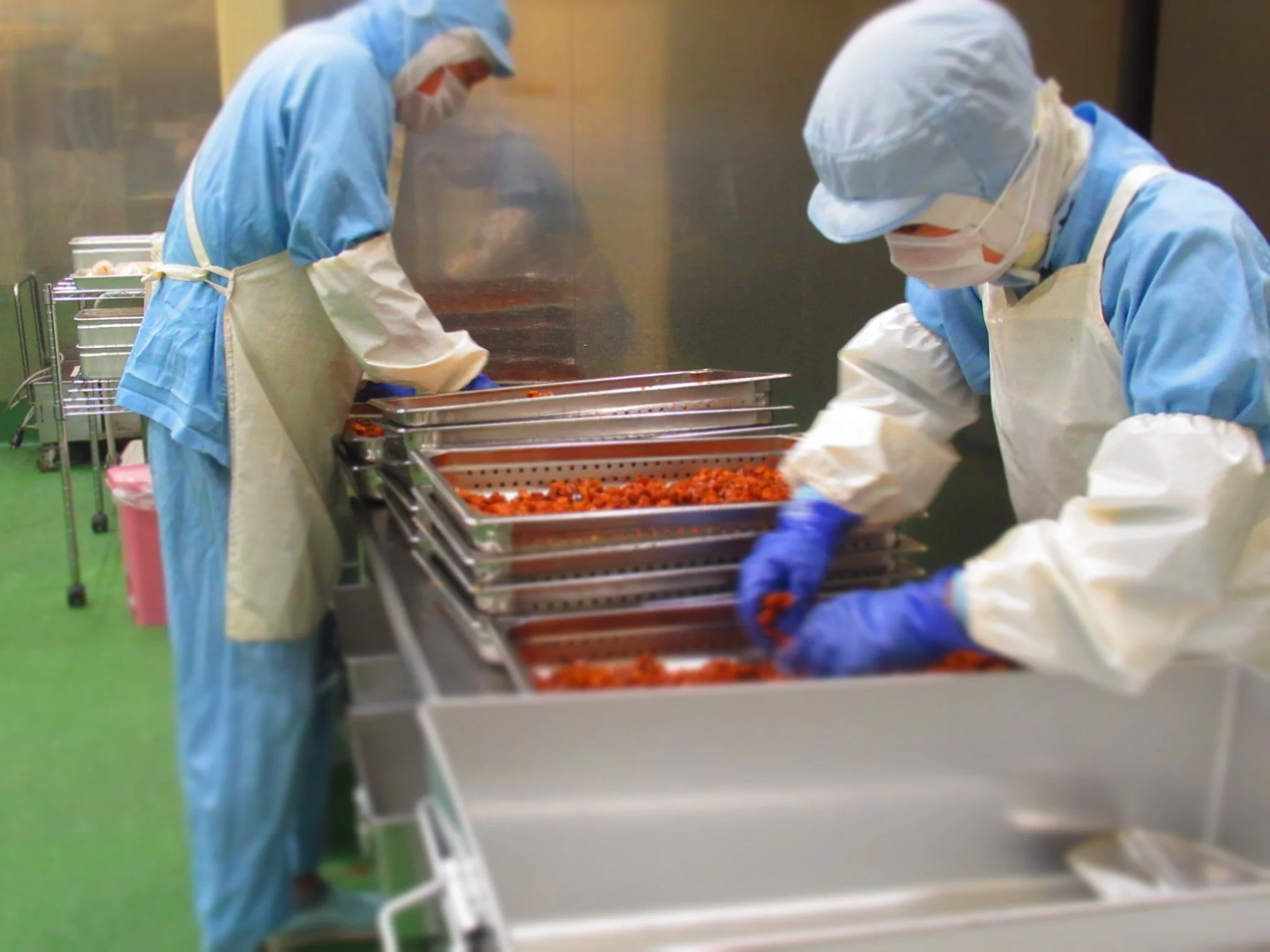 食品工場で作業員がトレーに料理を盛り付けている光景